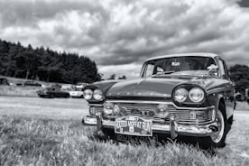 A classic car is parked on a grassy field with a backdrop of trees and a cloudy sky. The car features a vintage design with a gleaming chrome bumper and round headlights. Additional parked vehicles can be seen in the background.