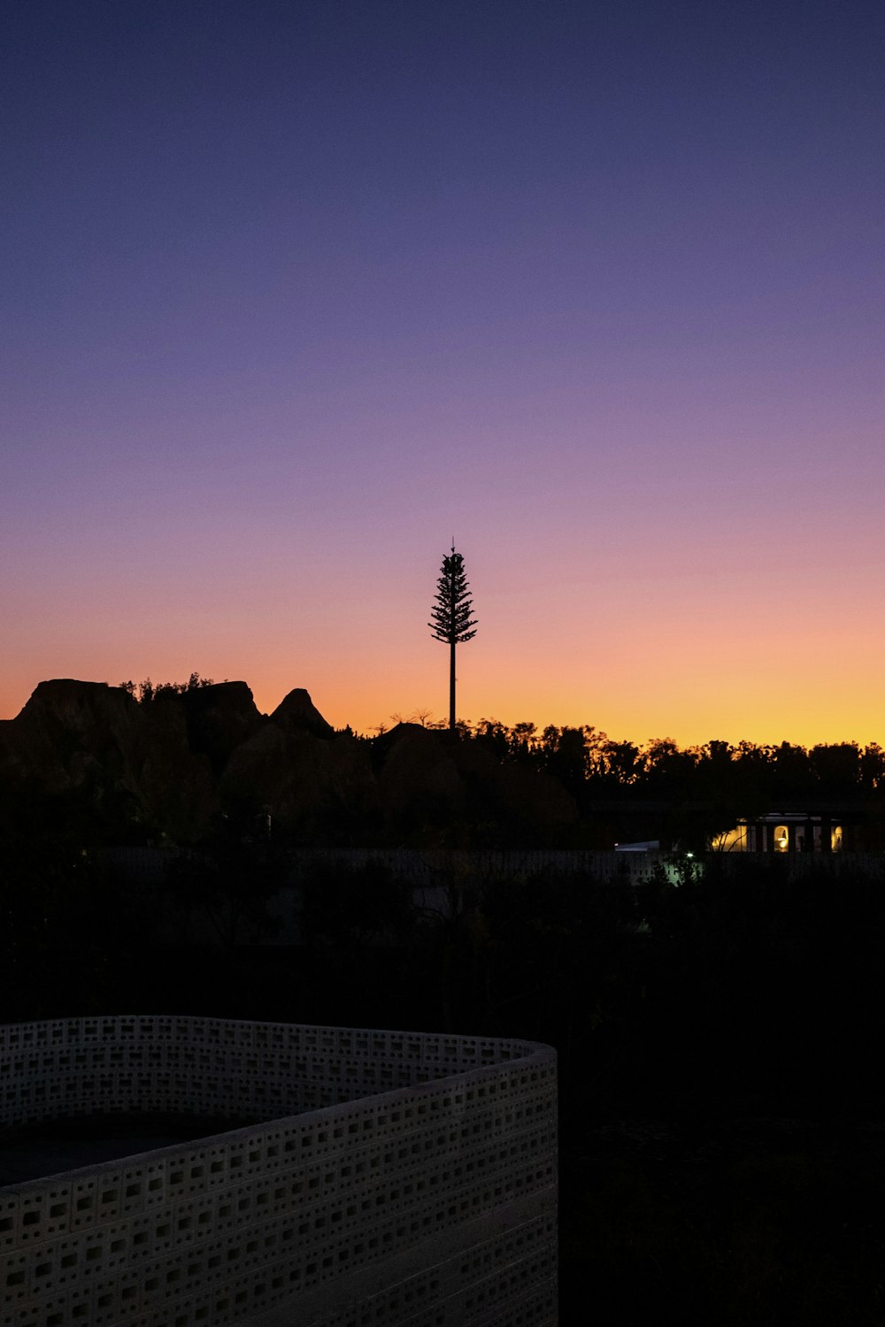 a view of a sunset with a tree in the foreground