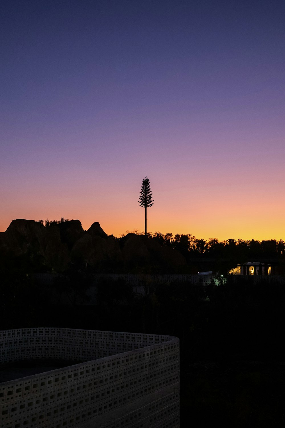Una vista de una puesta de sol con un árbol en primer plano