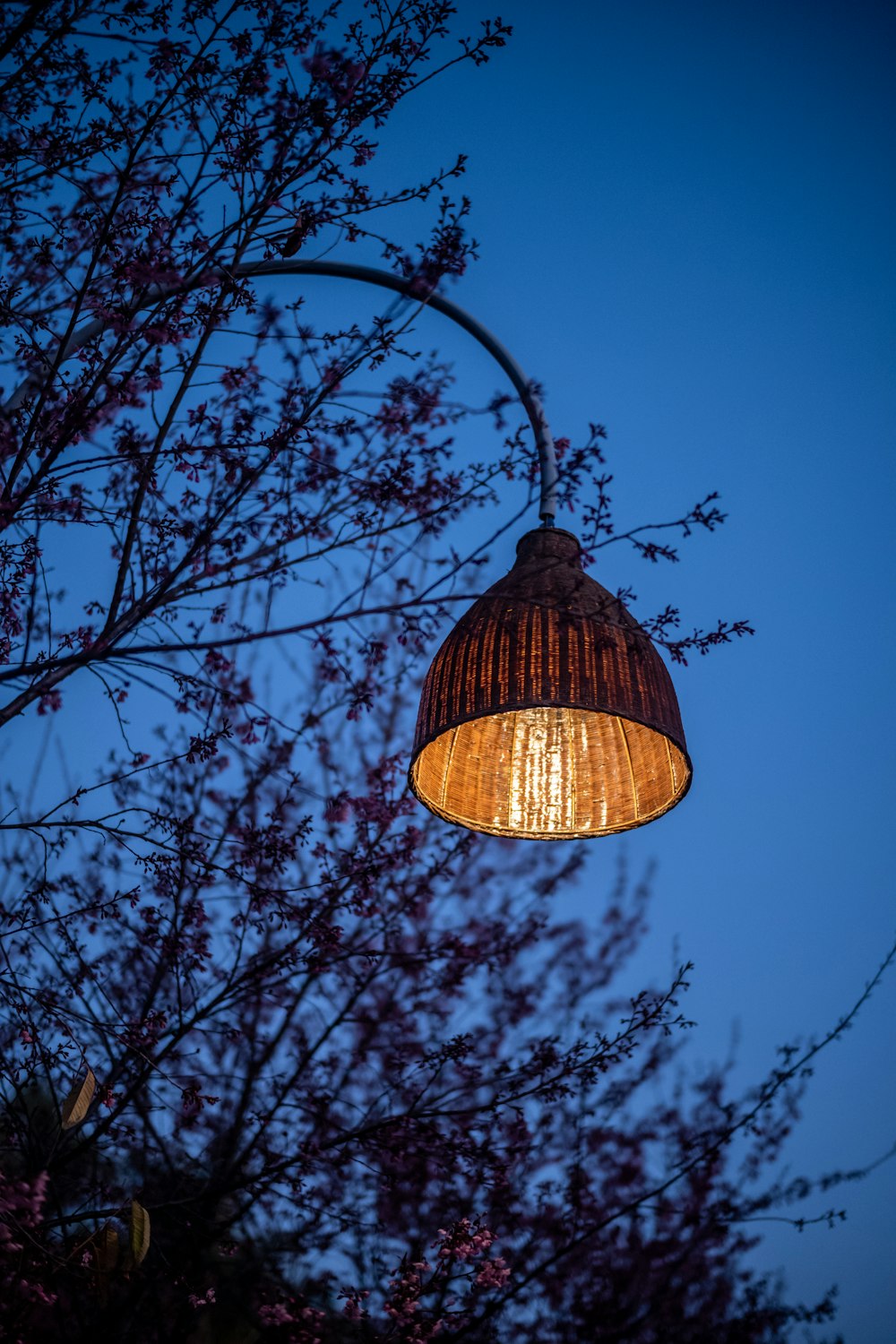 a lamp hanging from the side of a tree