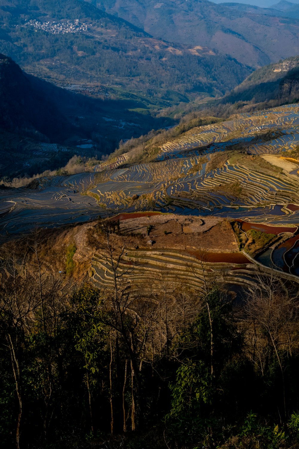 a view of a valley with trees and mountains in the background