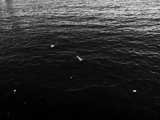 Dark water with ripples spreading across the surface, accompanied by scattered debris floating in different areas.