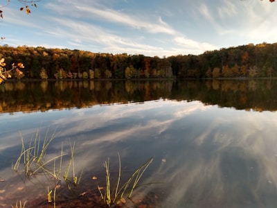 A peaceful lakeside spot with reflections of colorful autumn trees.