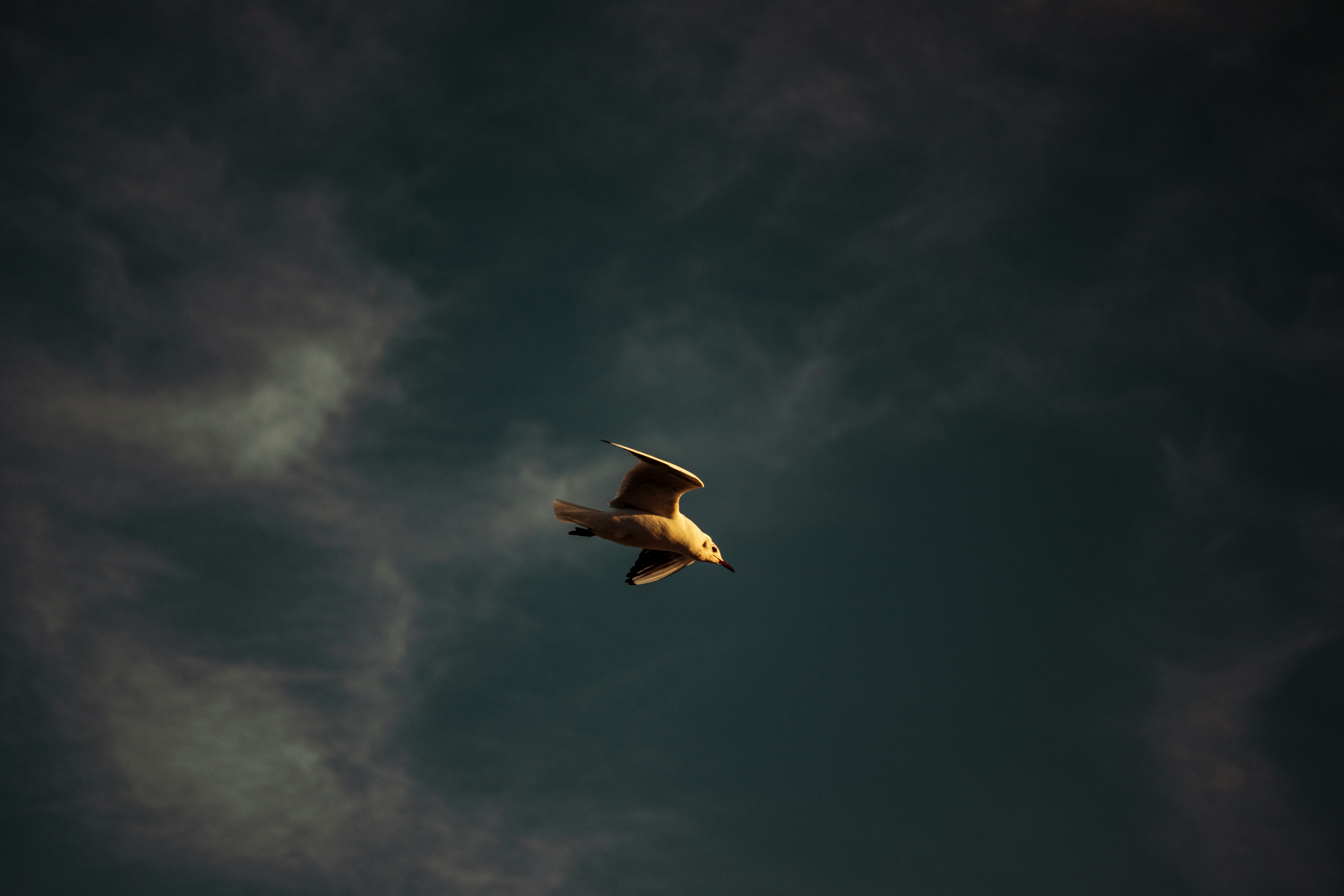 Photo by sinabahar76