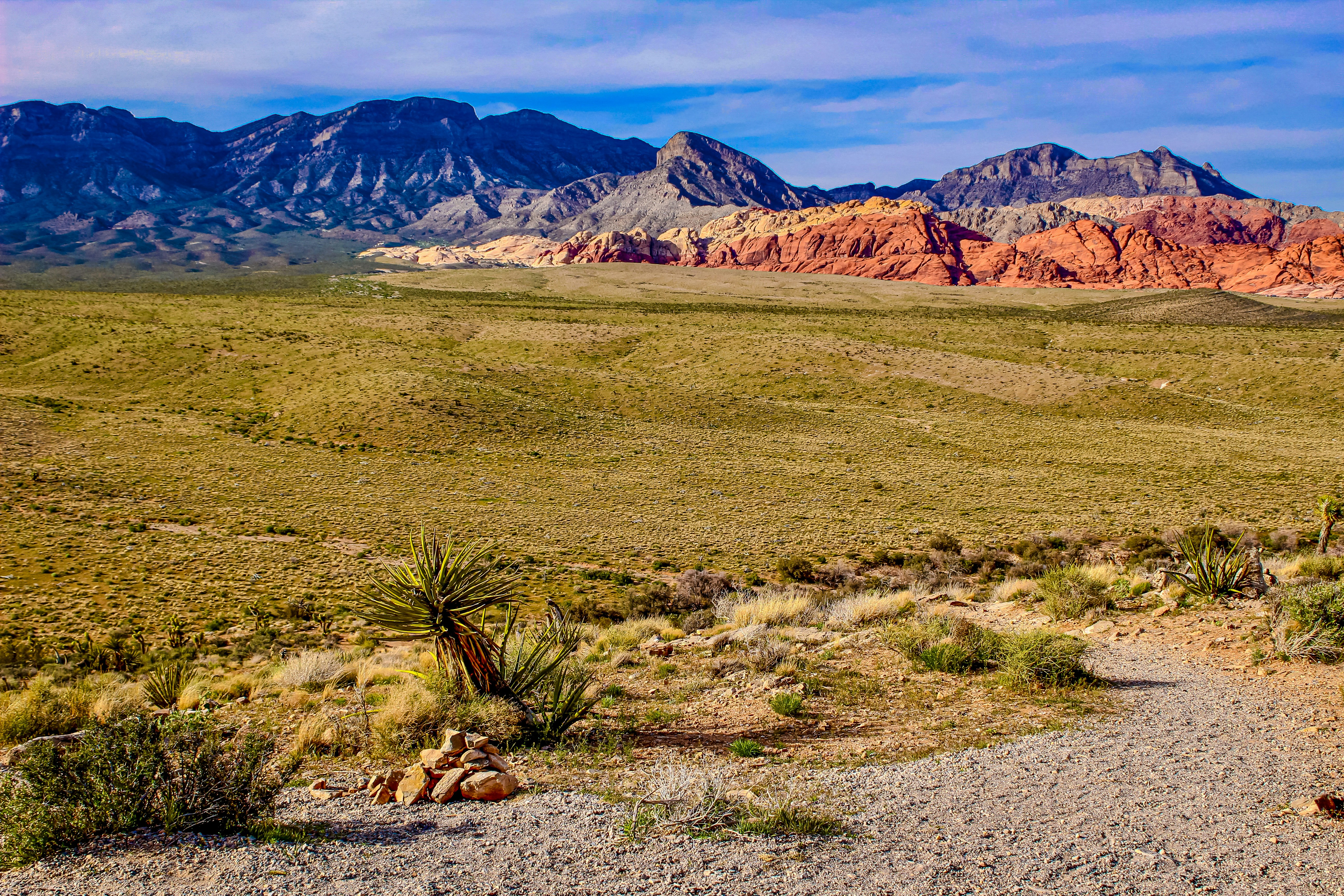 Photo by birdsong89130