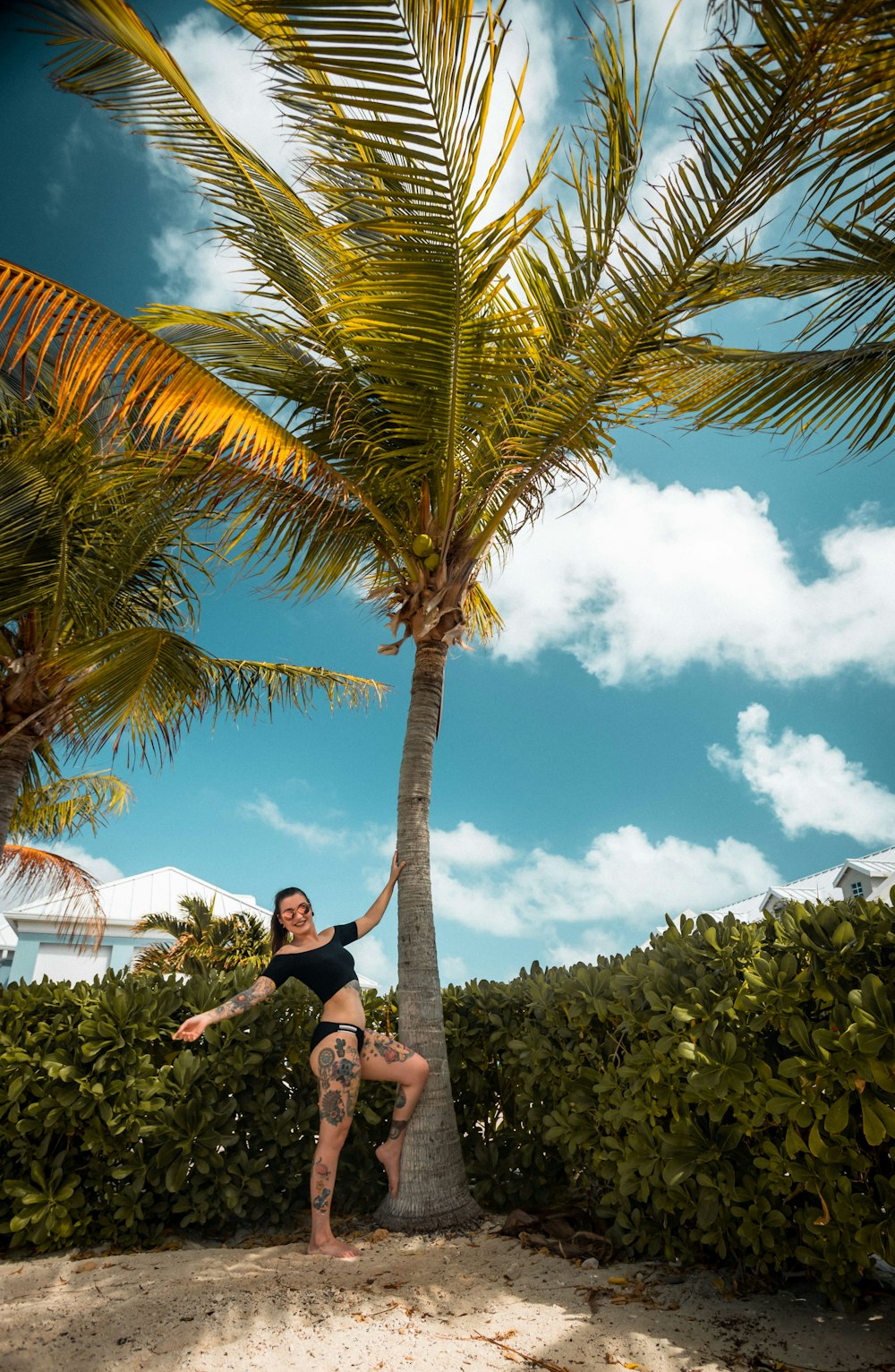 a woman standing next to a palm tree on a beach