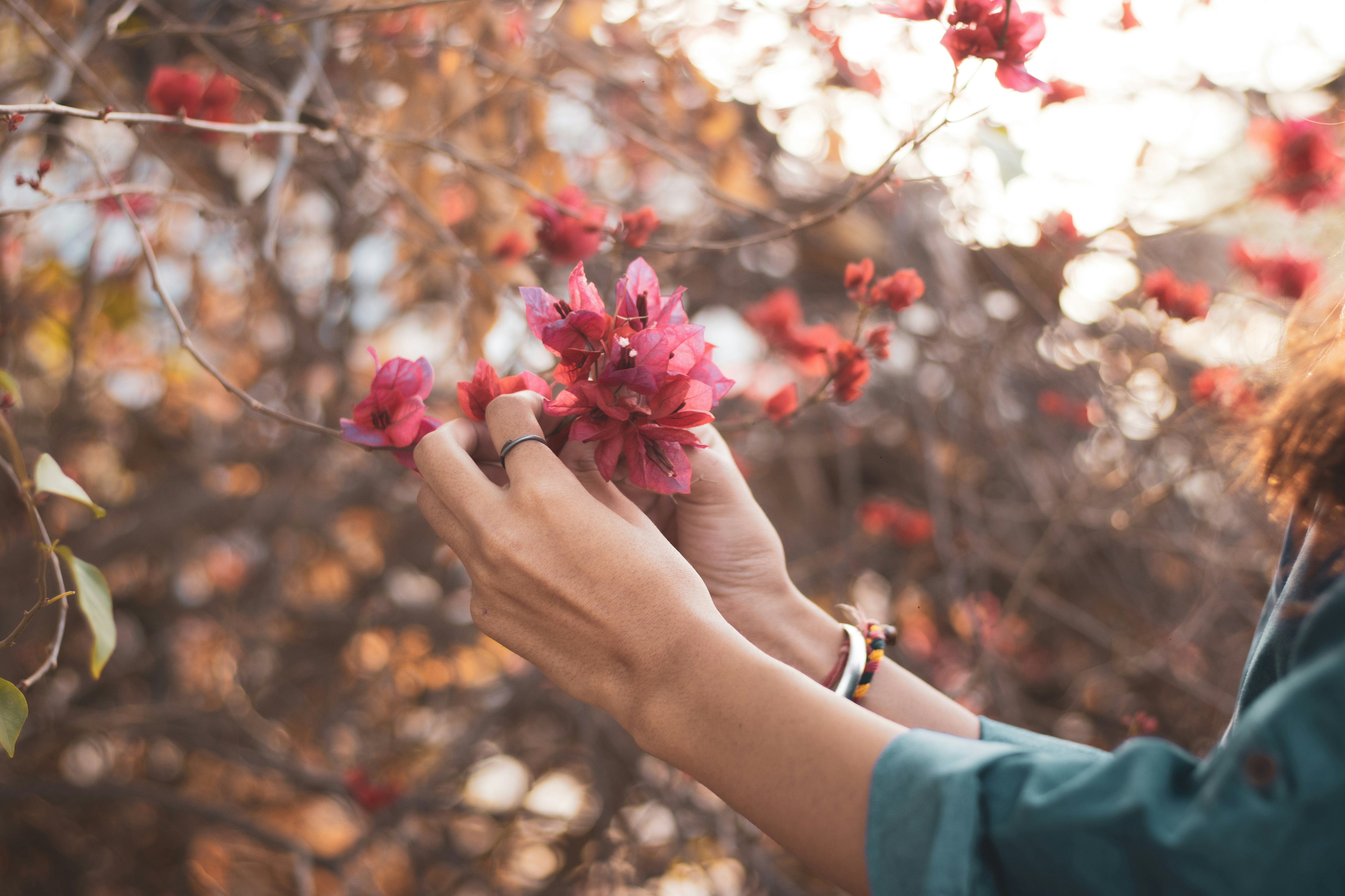 Photo by sanketgraphy