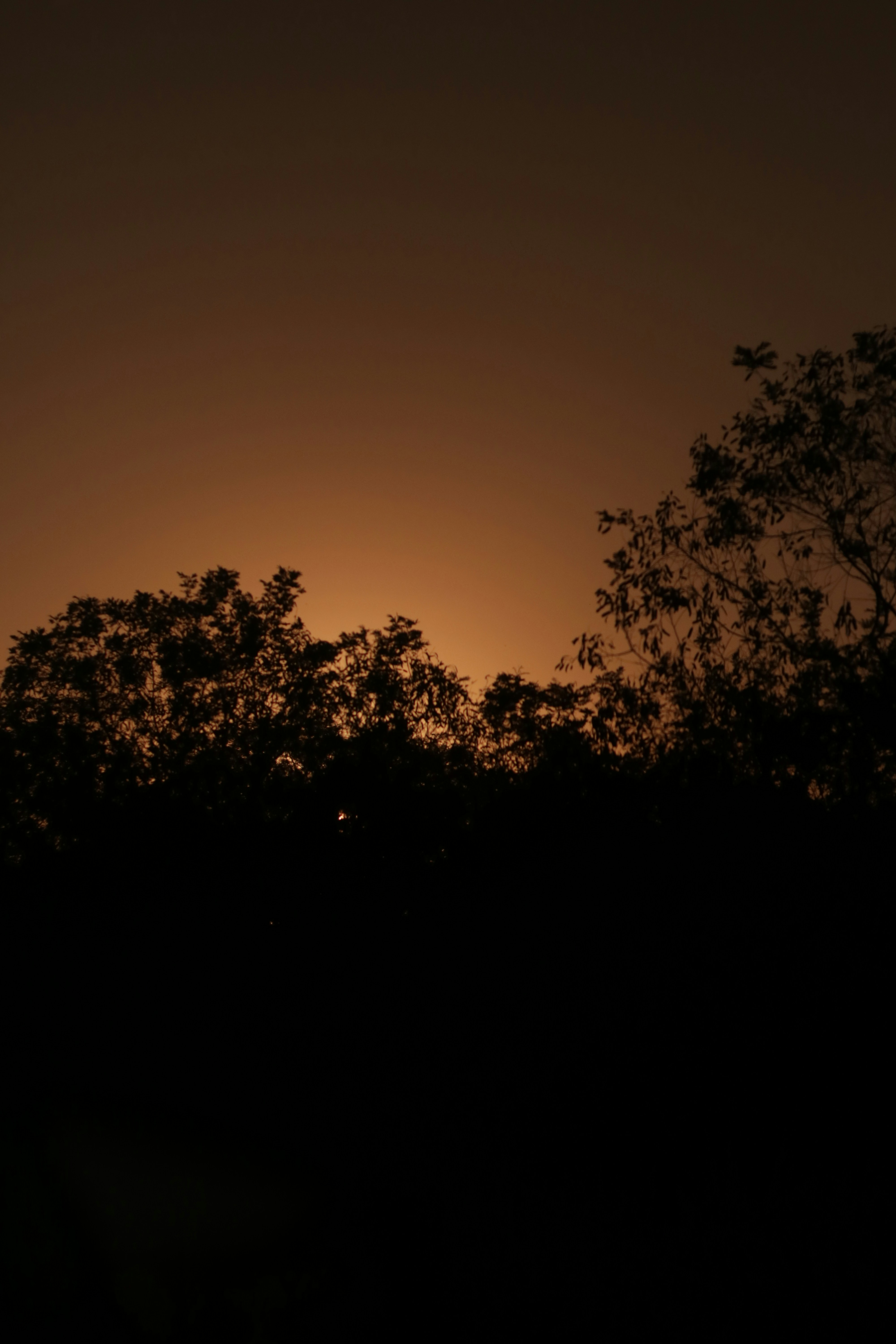 Photo by janainapepeu