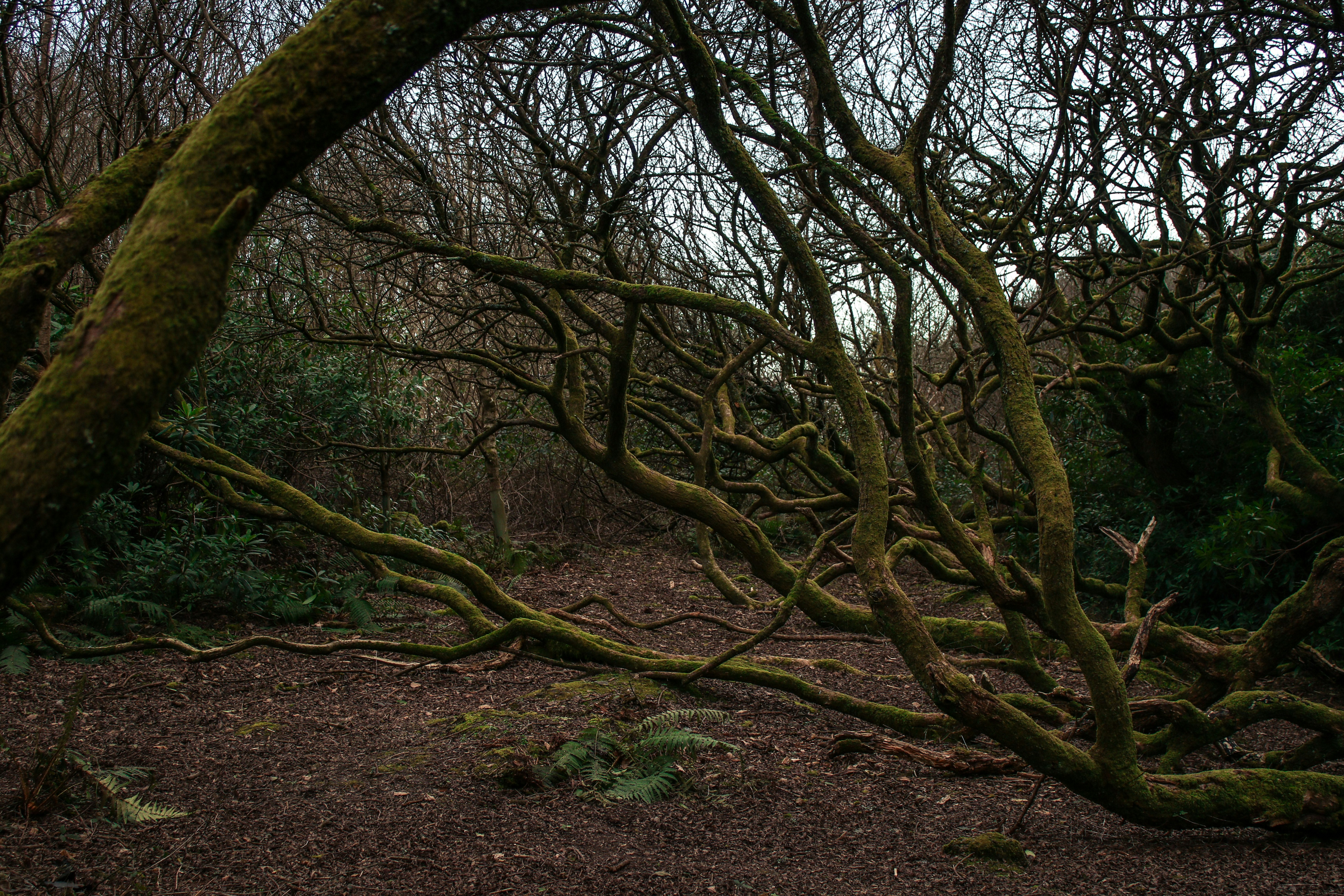 Photo by focalinsight