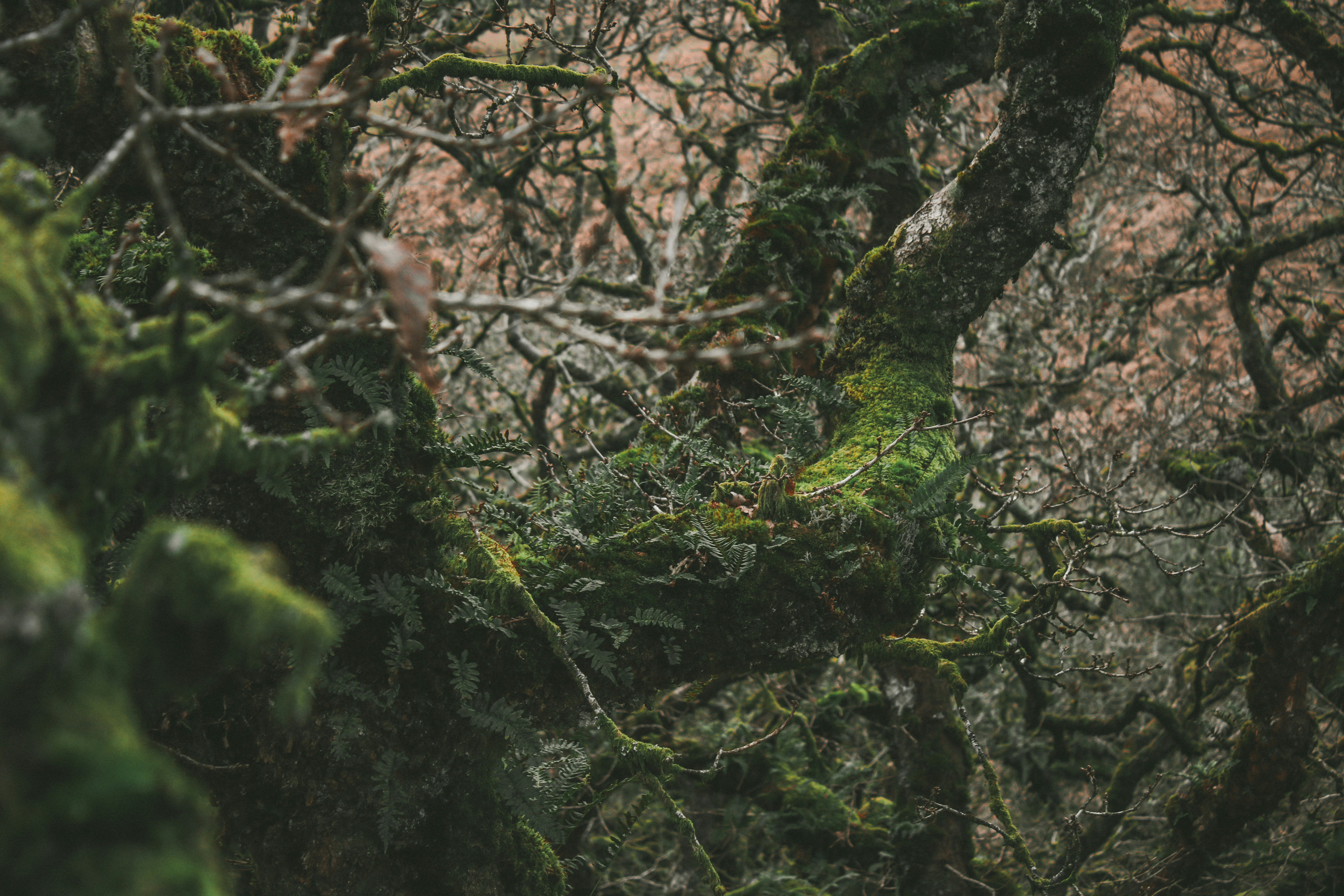 Photo by focalinsight