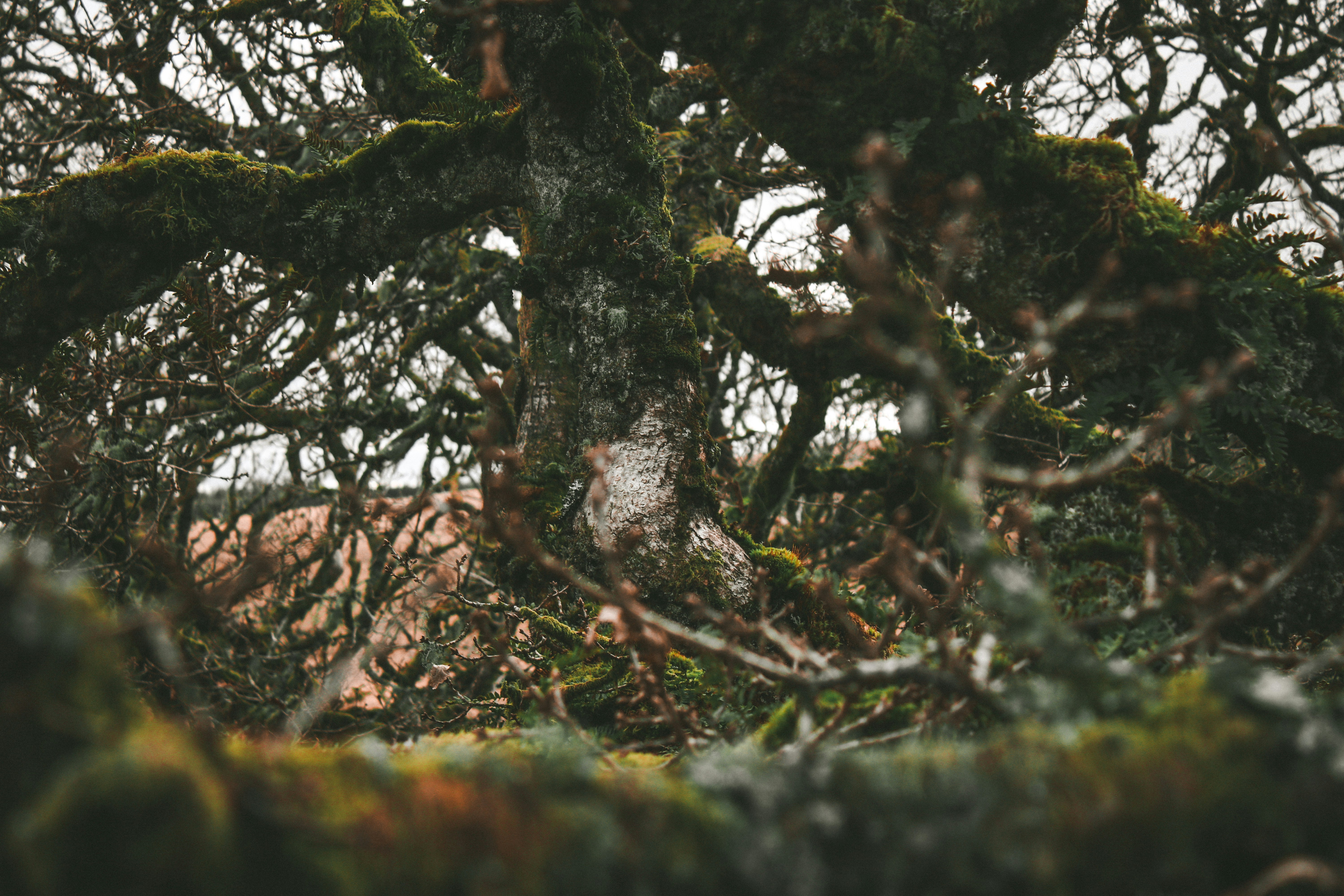 Photo by focalinsight