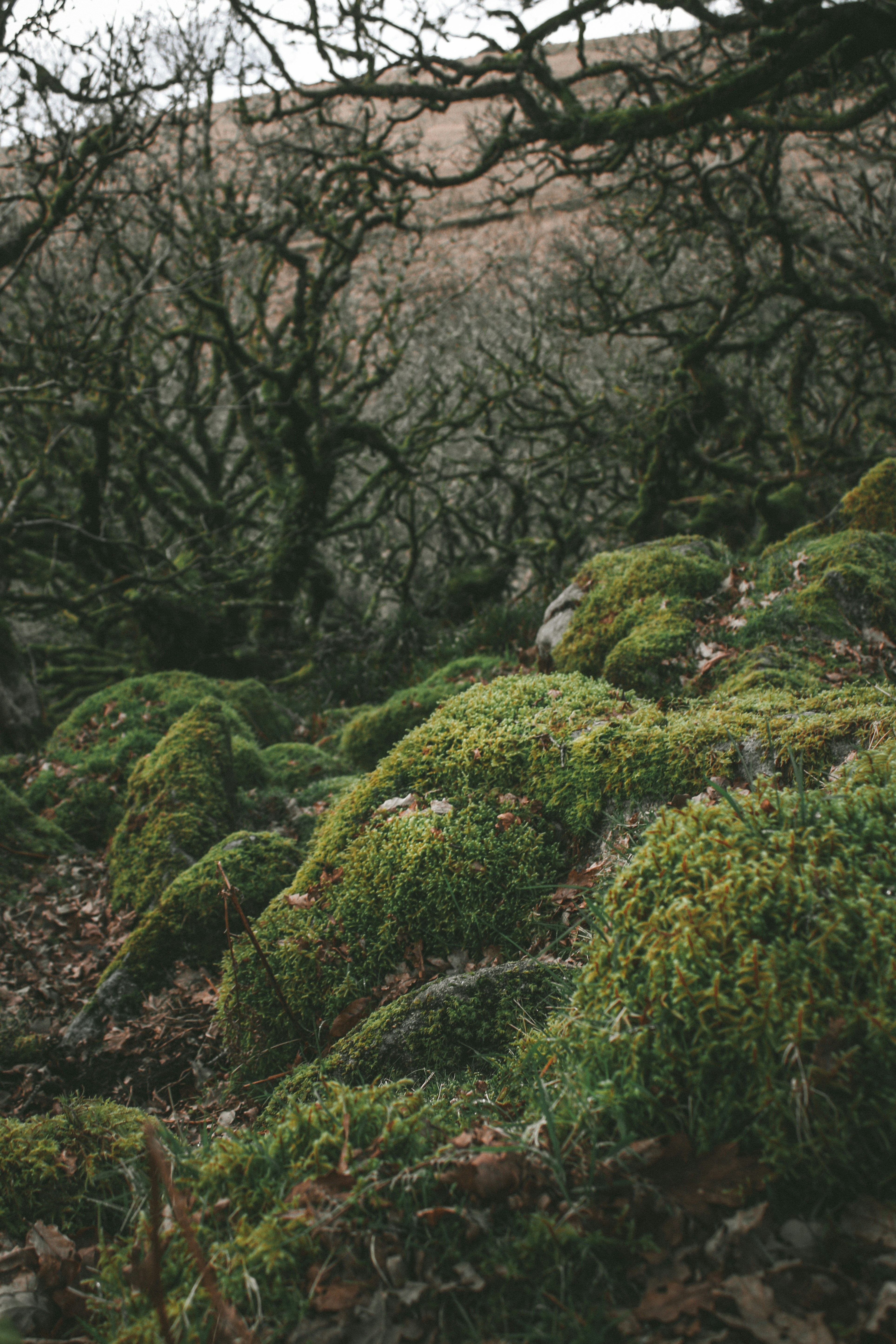 Photo by focalinsight