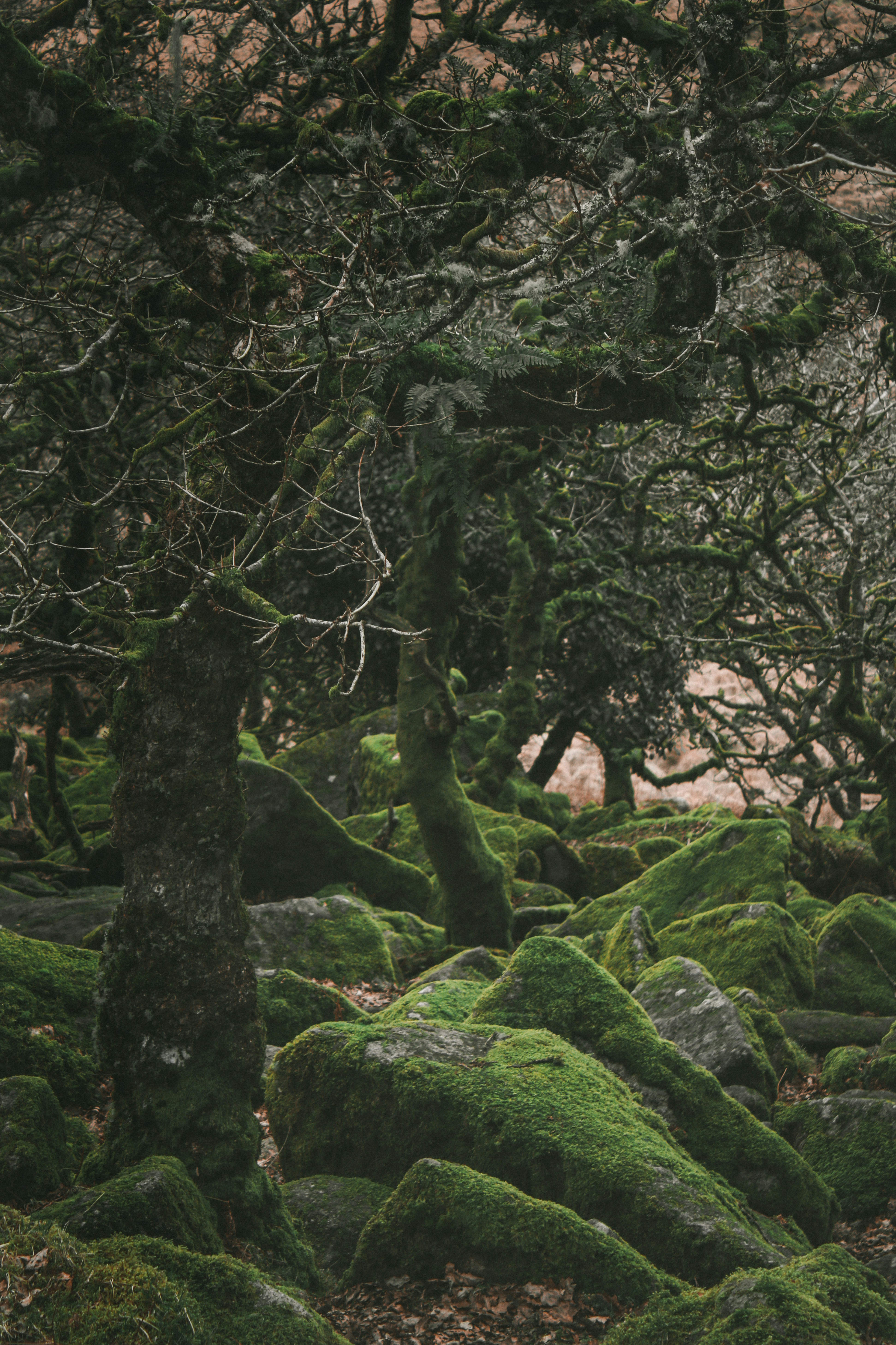 Photo by focalinsight