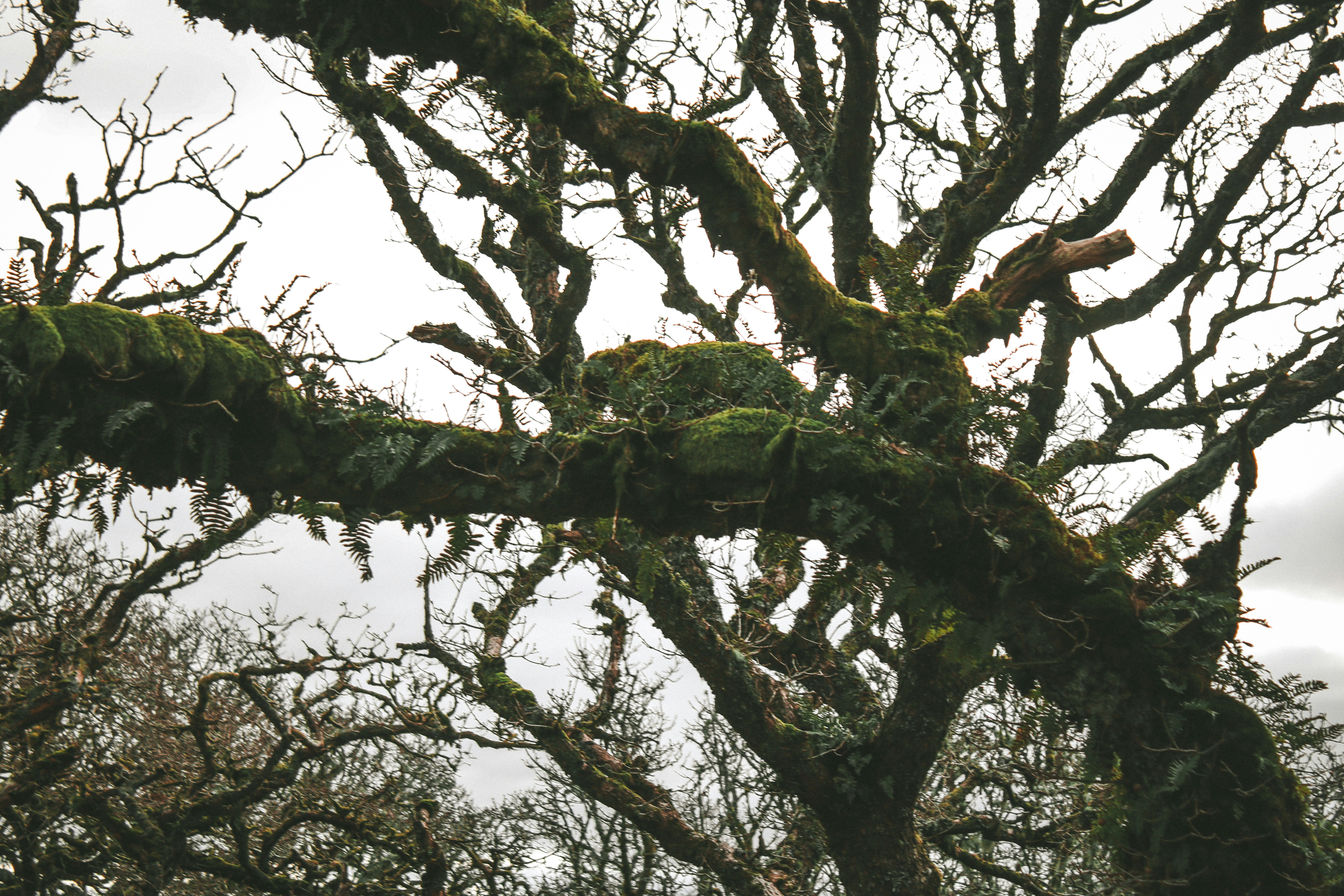 Photo by focalinsight