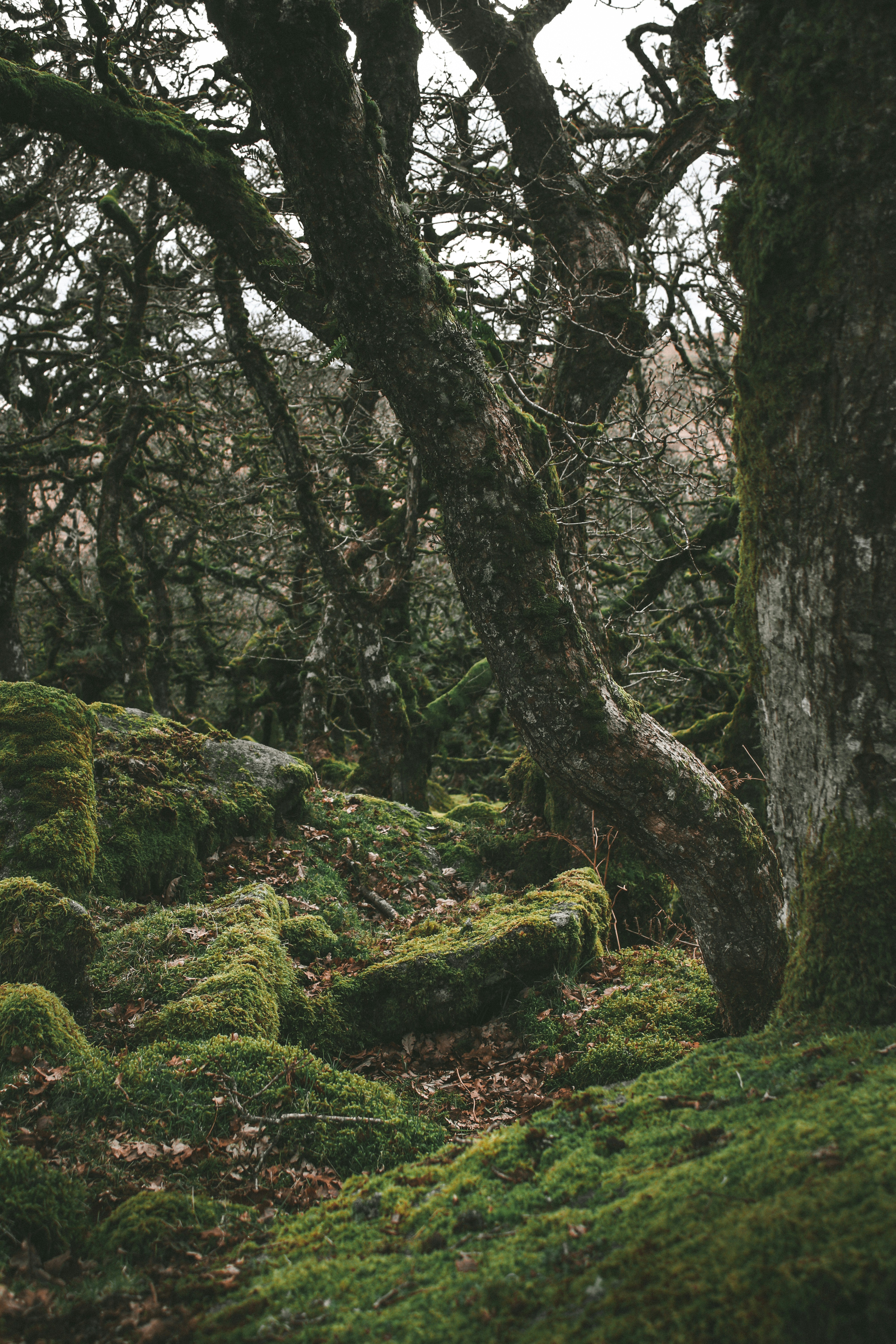 Photo by focalinsight