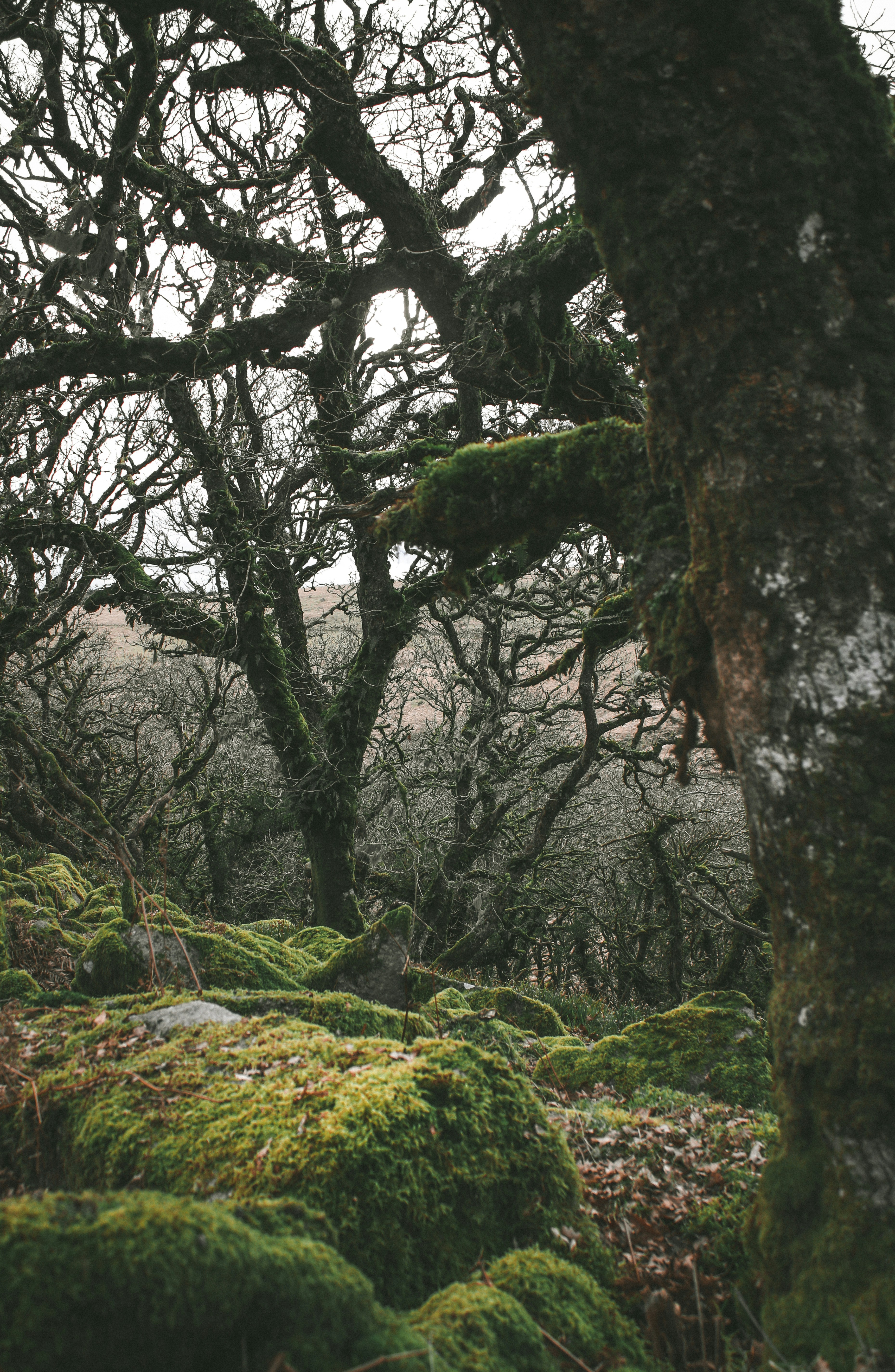 Photo by focalinsight