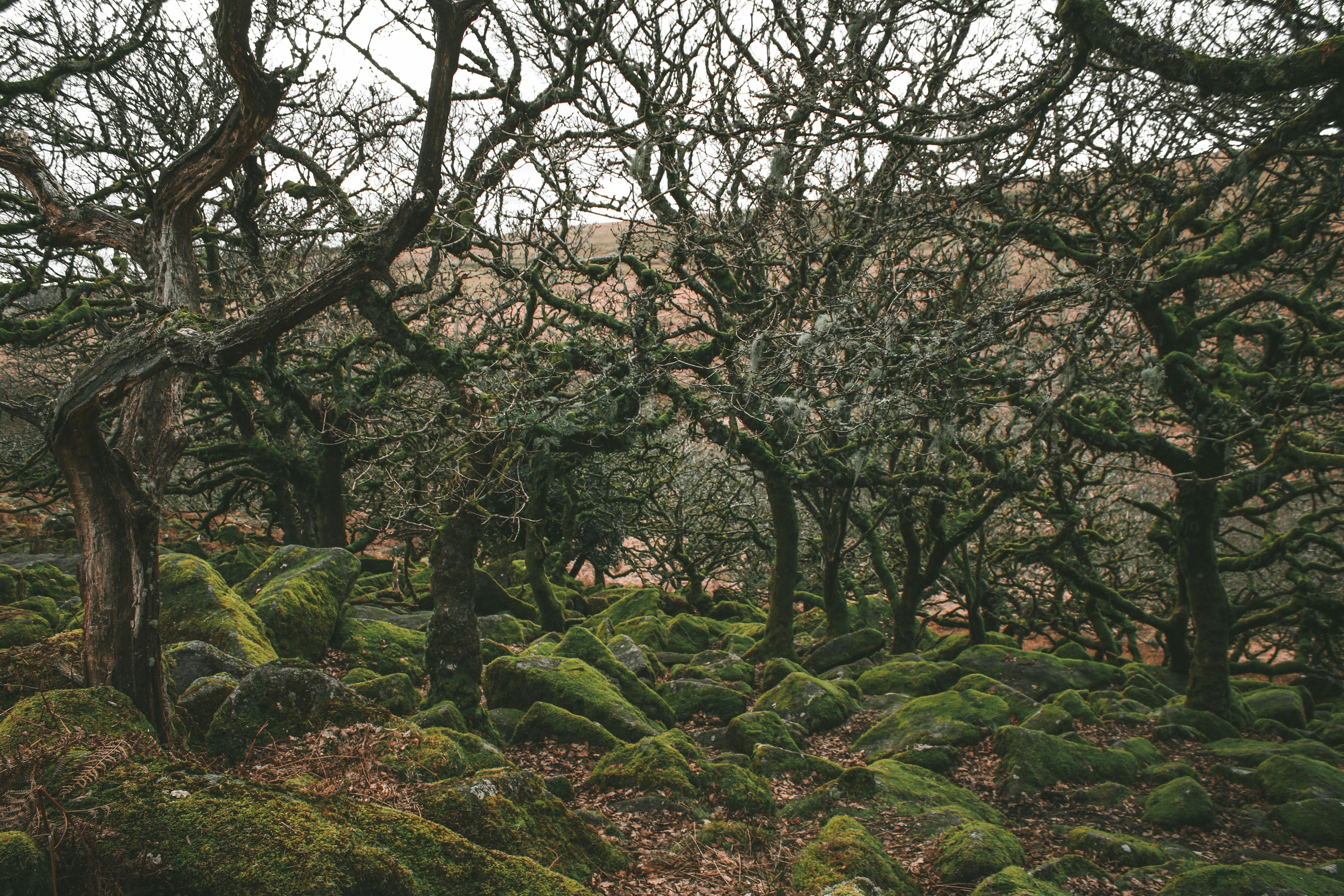 Photo by focalinsight