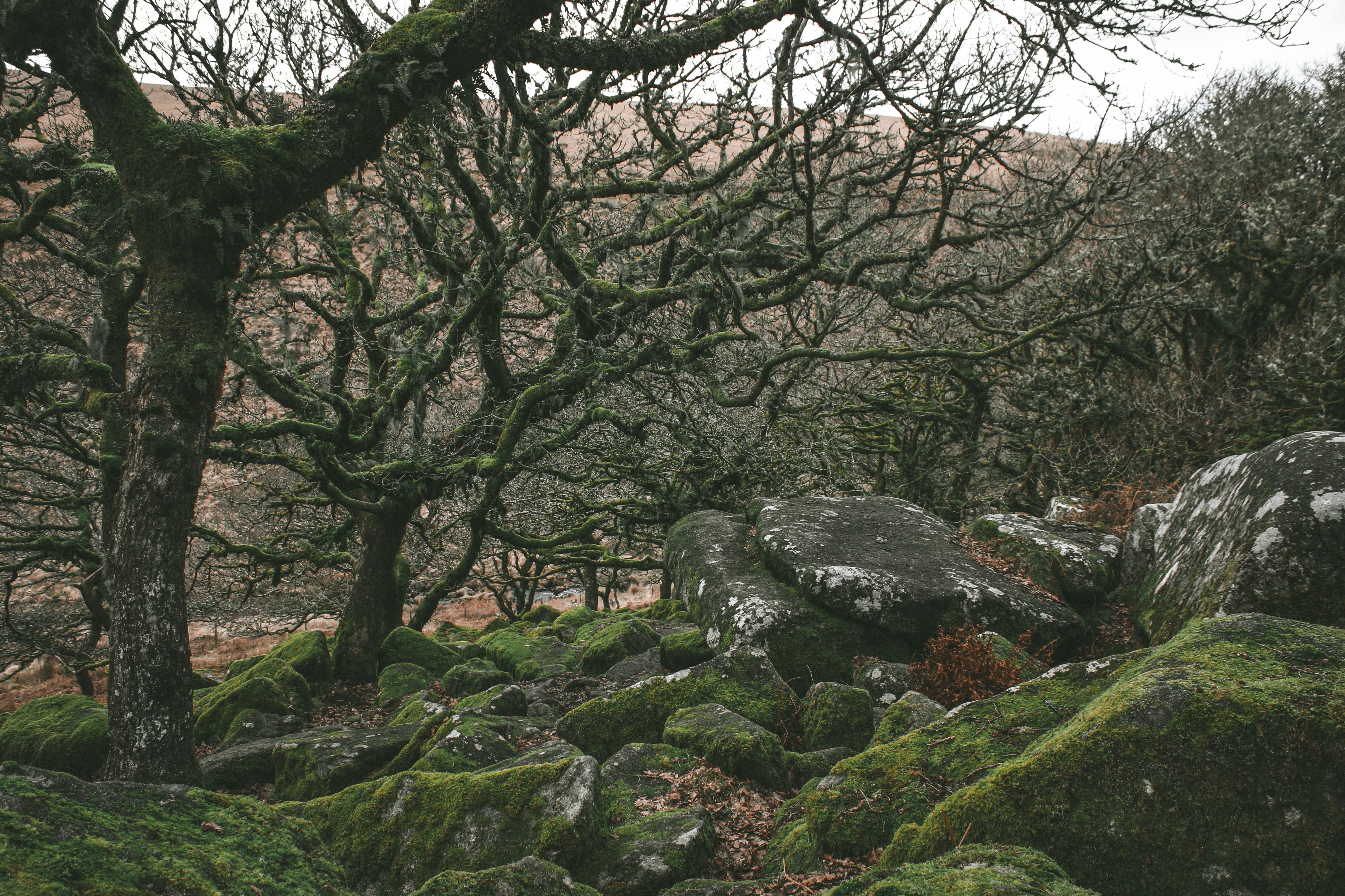 Photo by focalinsight