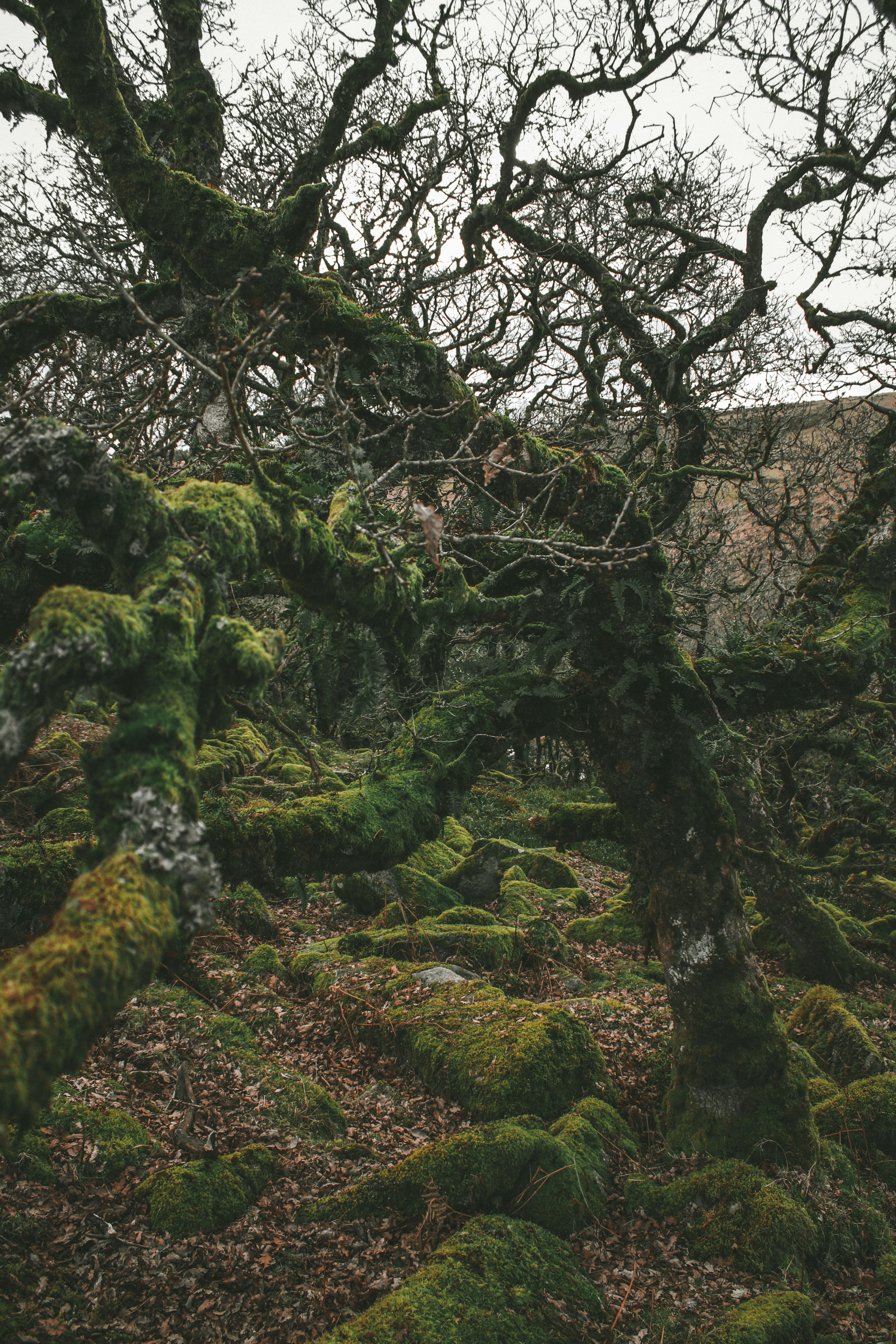 Photo by focalinsight