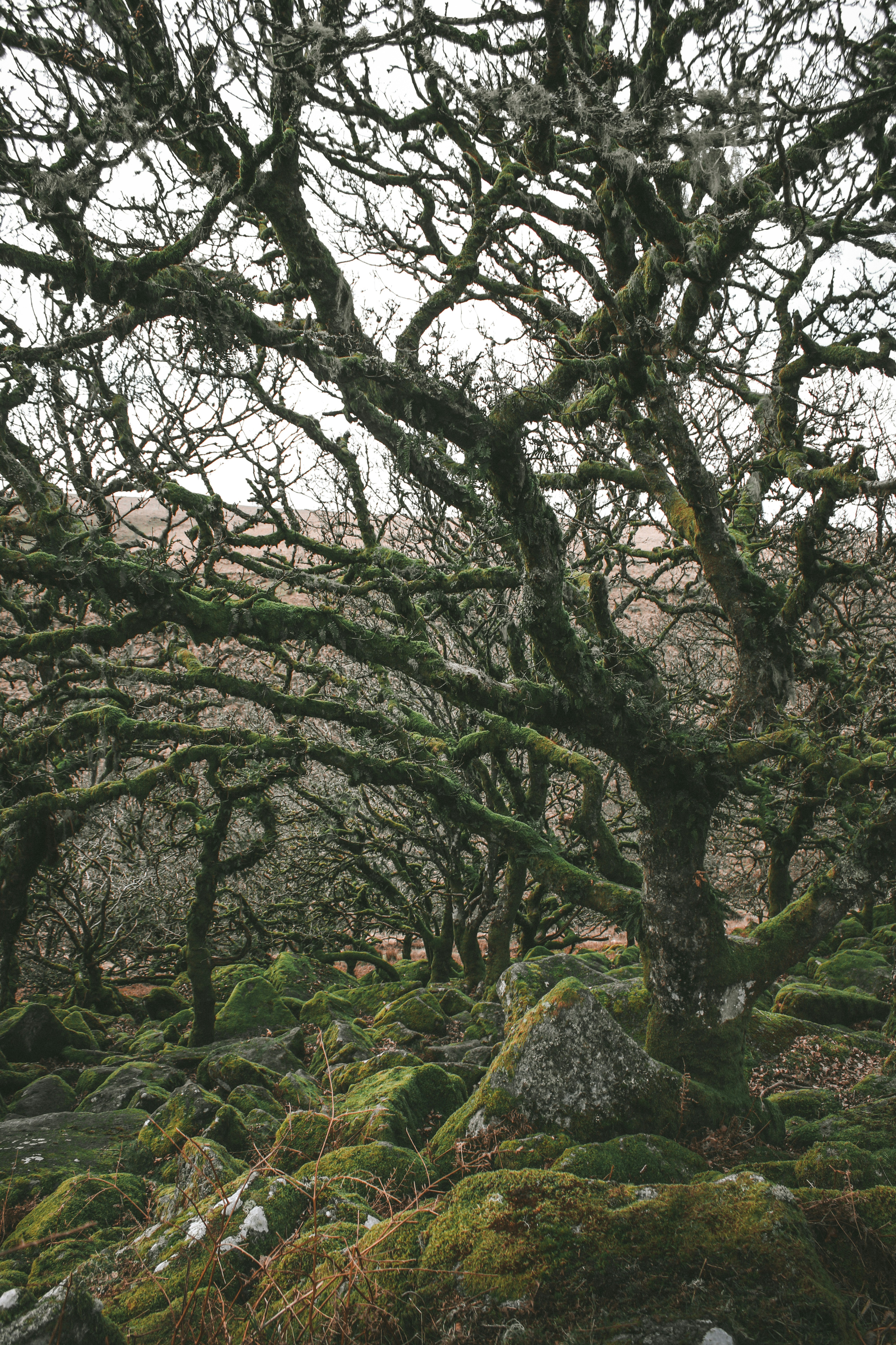 Photo by focalinsight