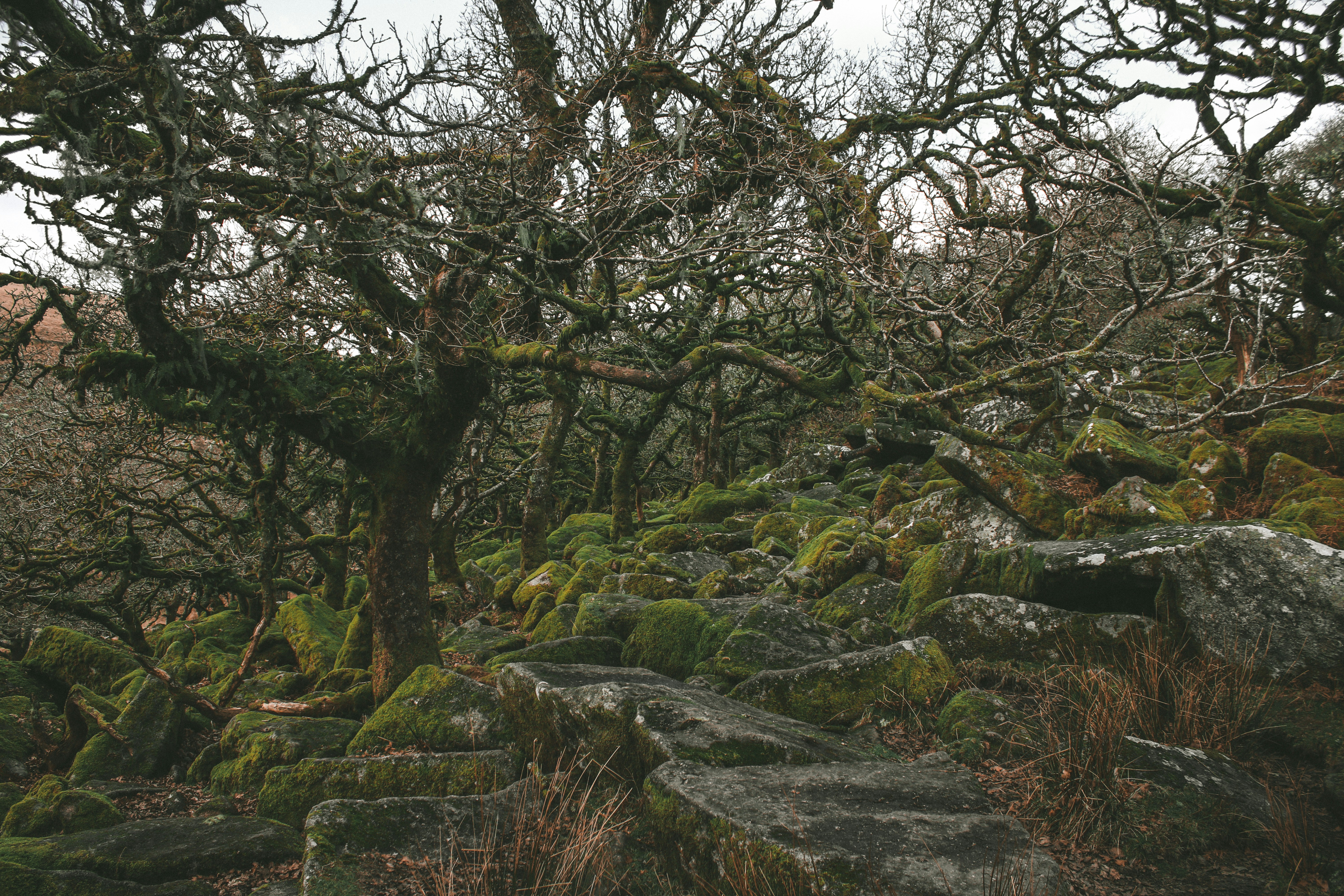 Photo by focalinsight