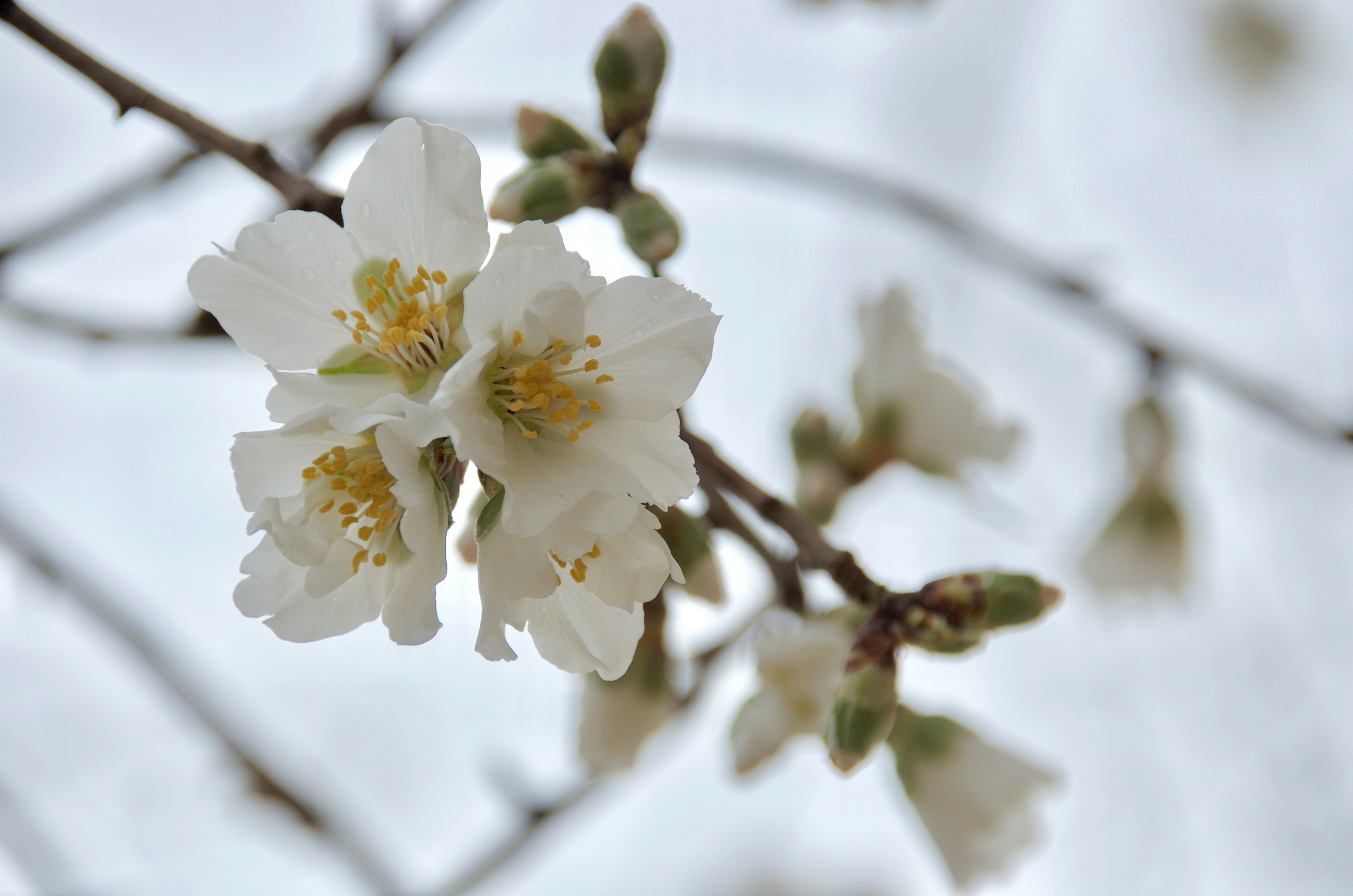 Photo by mariobeducci