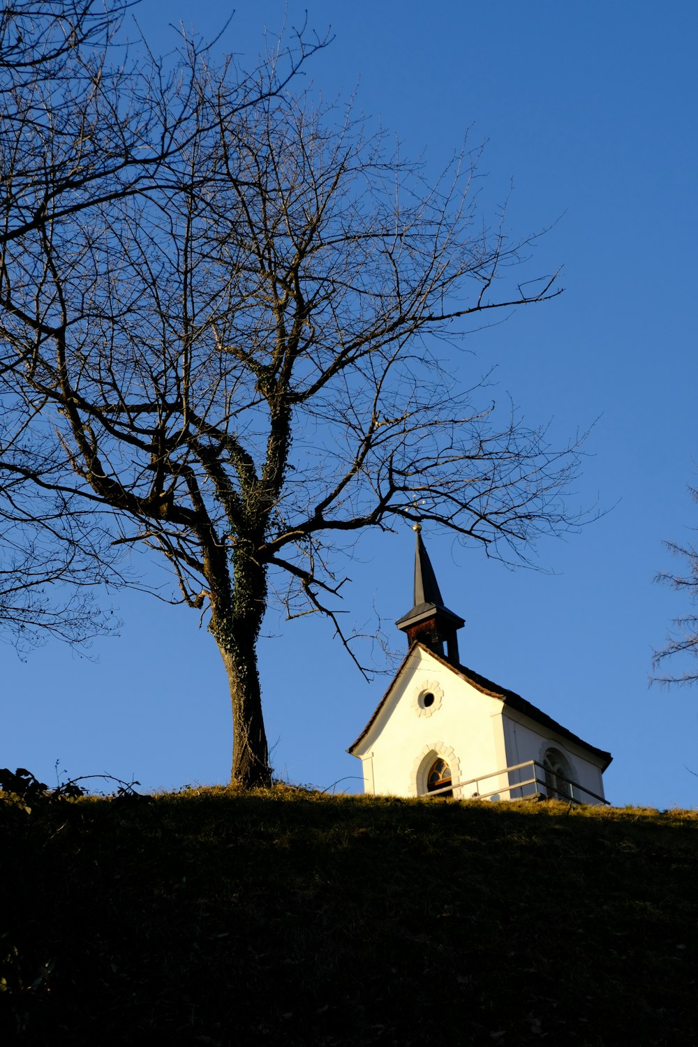 a church steeple with a tree in the background