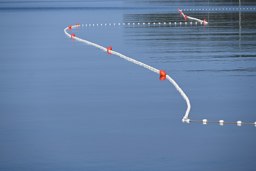 a row of red and white buoys in the water