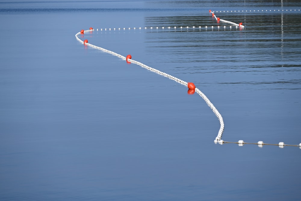 une rangée de bouées rouges et blanches dans l’eau