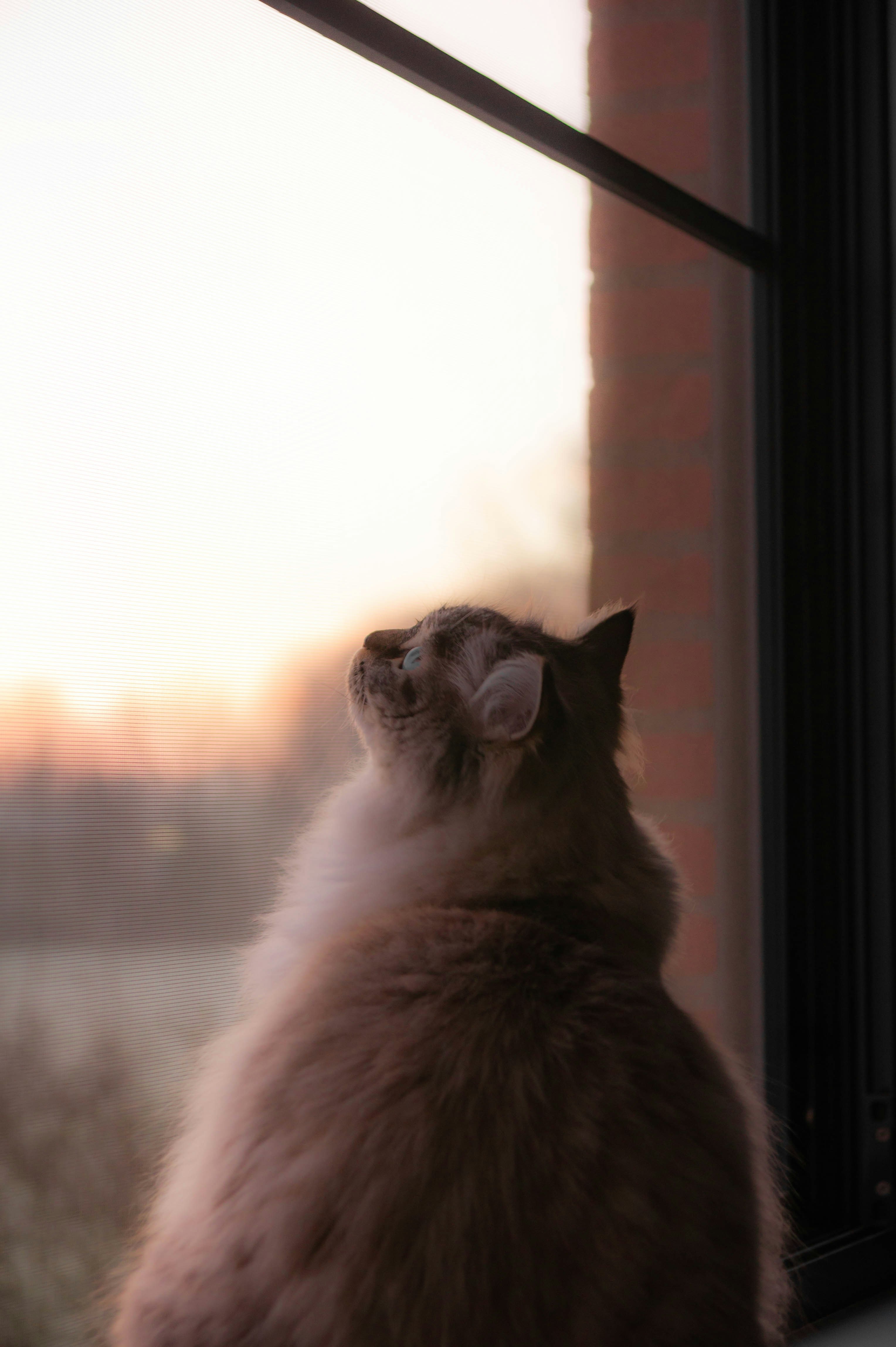 Photo by geikeverniers