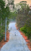 a person riding a motorcycle down a dirt road