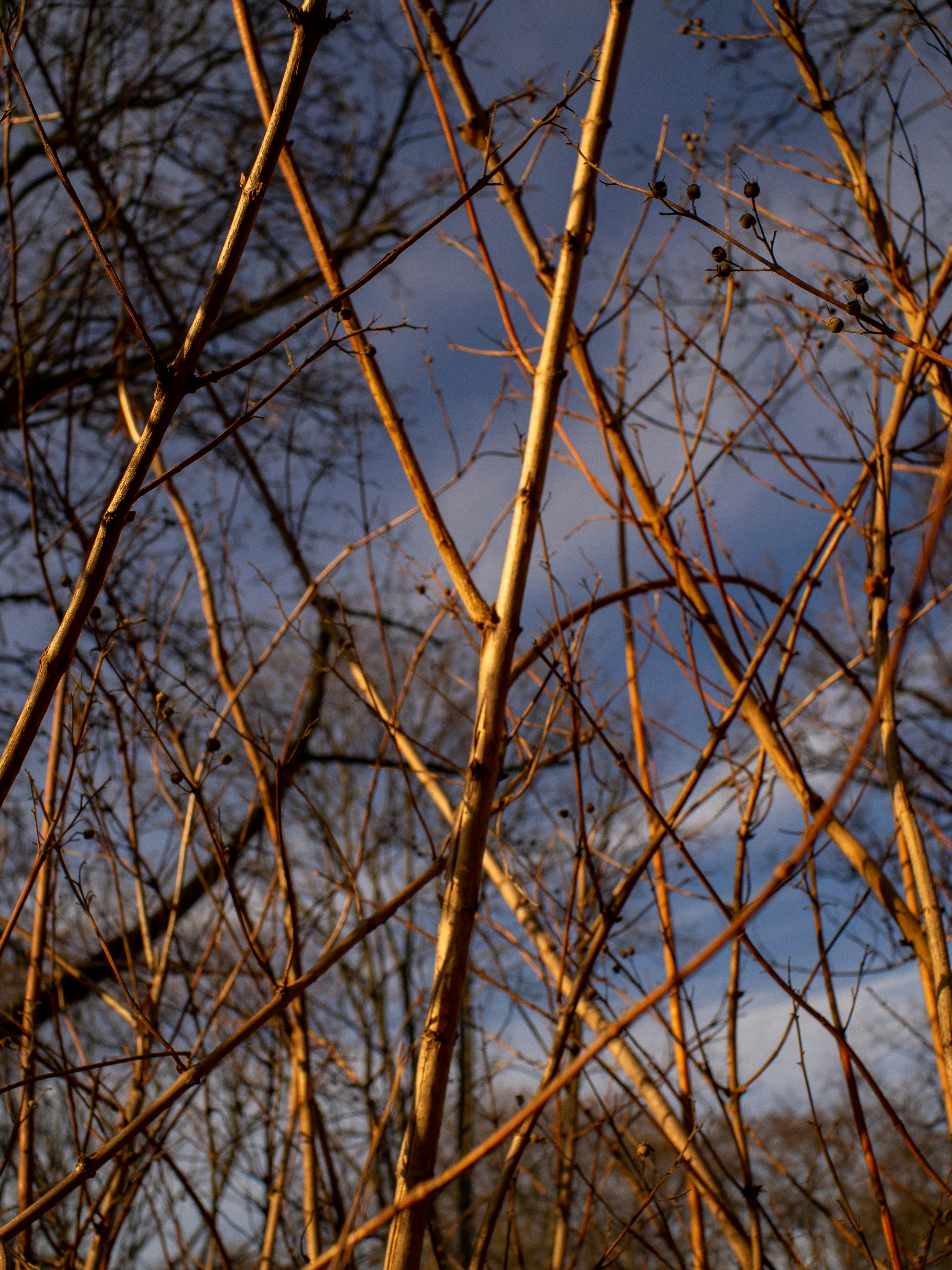 Photo by emilianovittoriosi