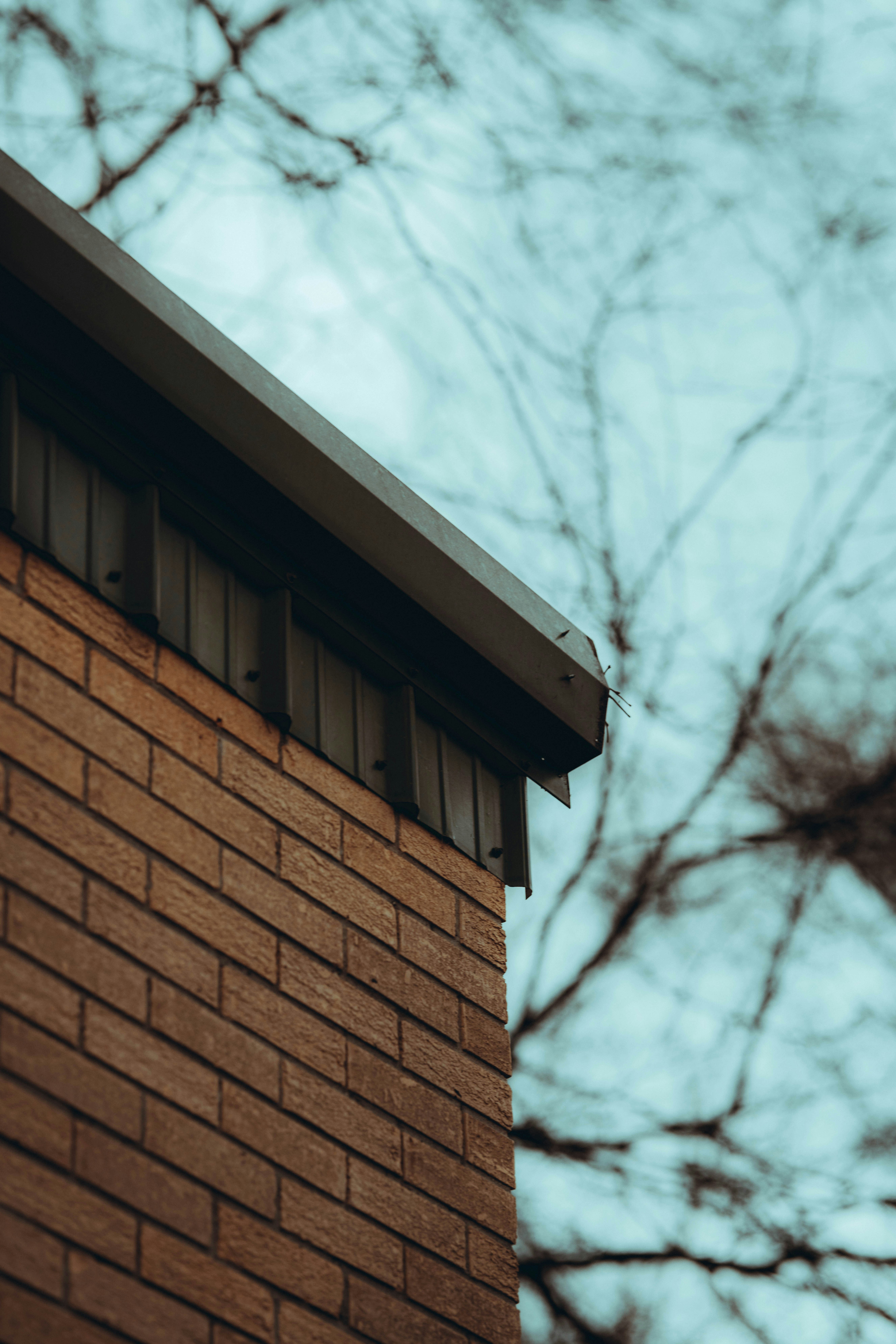 Photo by colemangloverphotography