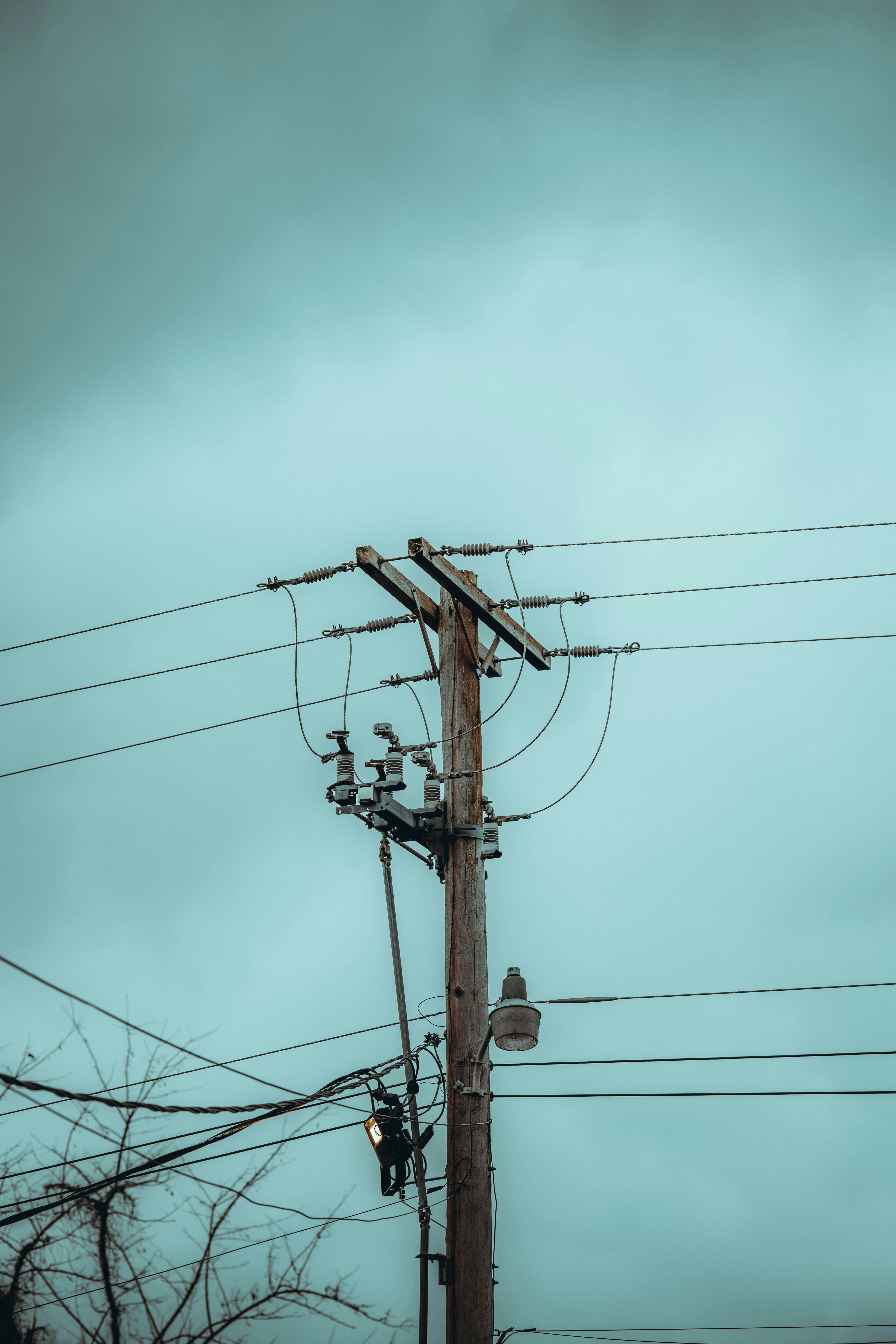 Photo by colemangloverphotography