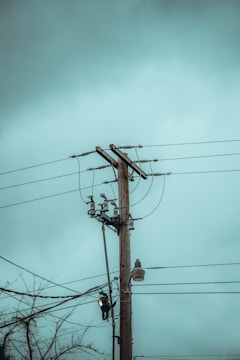 A wooden utility pole stands upright against a teal sky, with several electrical wires extending from its top. The wires are secured with insulators, and a street lamp is attached to the pole. Leafless branches can be seen at the bottom, suggesting a winter setting.