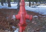 A red fire hydrant is situated in an outdoor setting, surrounded by dry grass, fallen leaves, and patches of snow. In the background, trees are visible, creating a natural environment.
