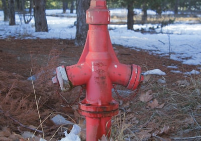 A red fire hydrant is situated in an outdoor setting, surrounded by dry grass, fallen leaves, and patches of snow. In the background, trees are visible, creating a natural environment.