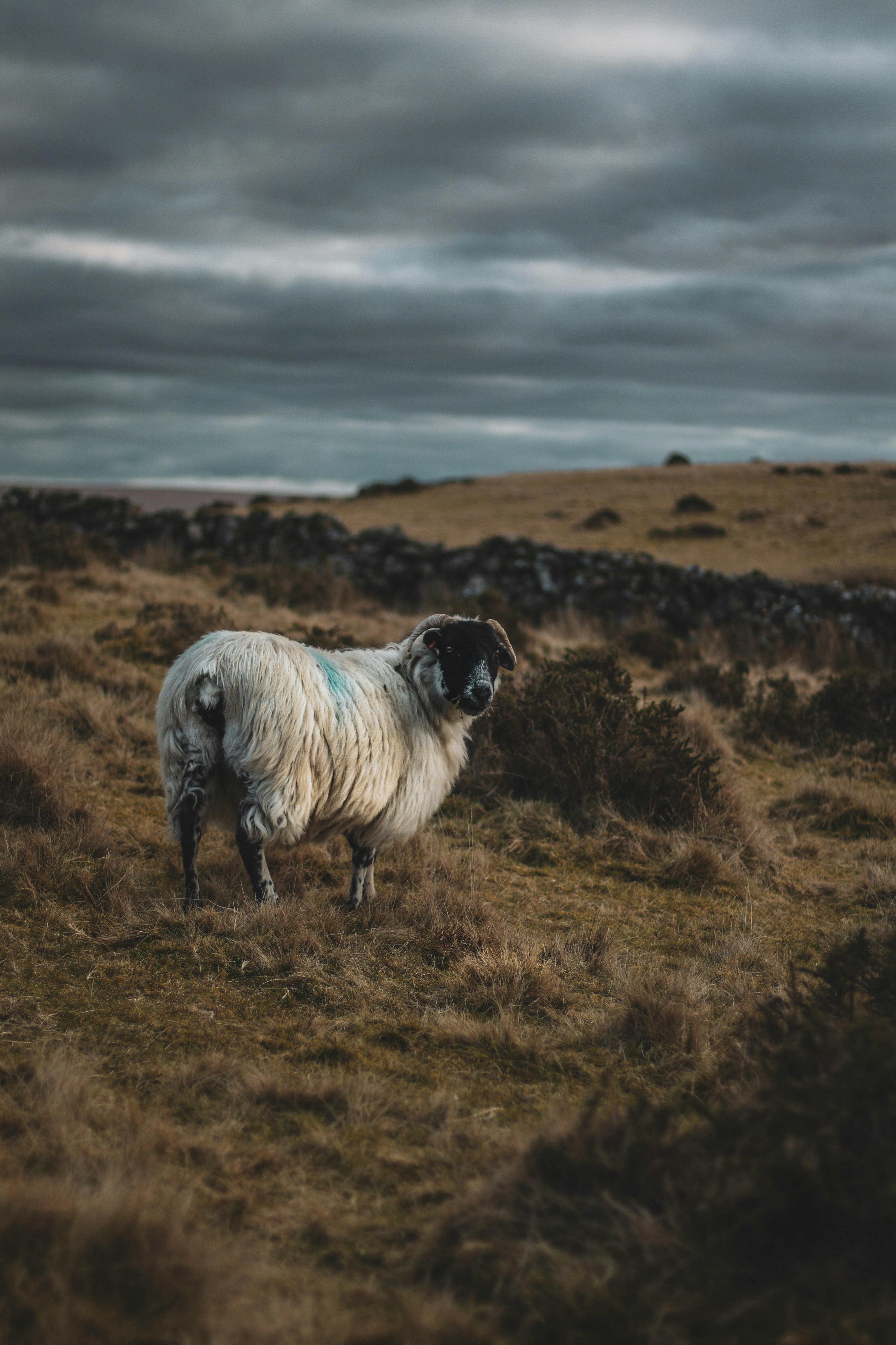 Photo by focalinsight