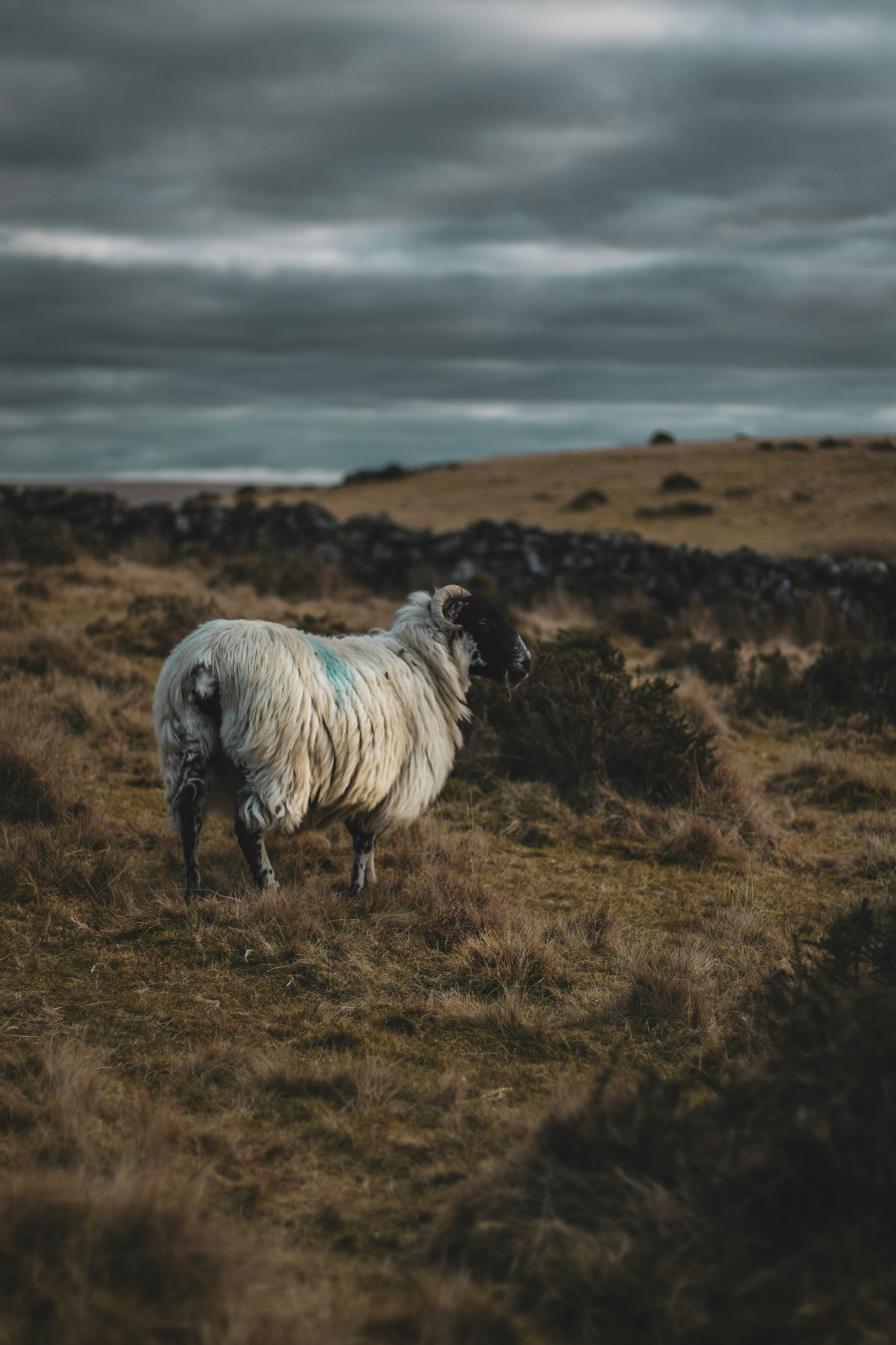 Photo by focalinsight