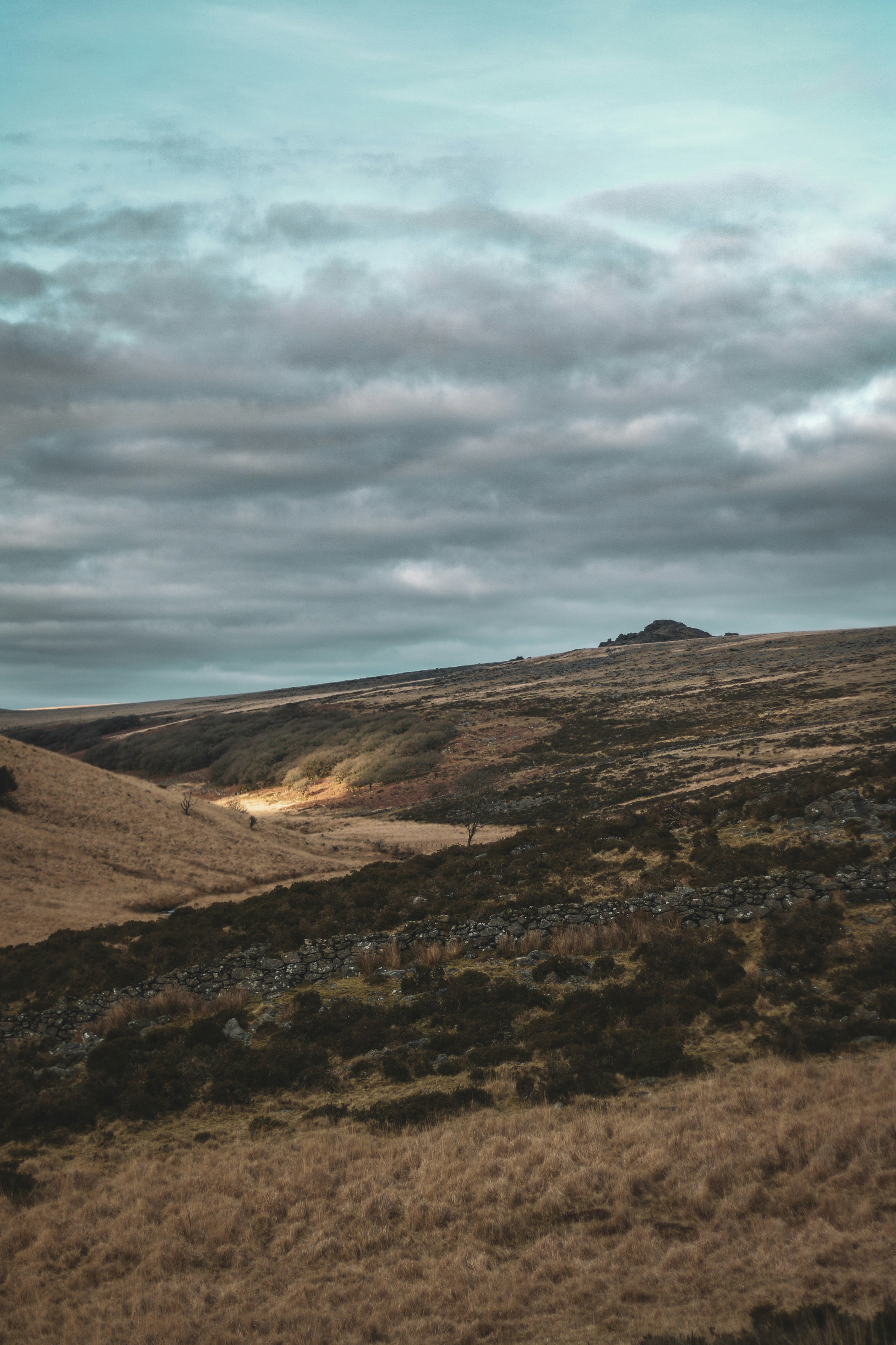 Photo by focalinsight