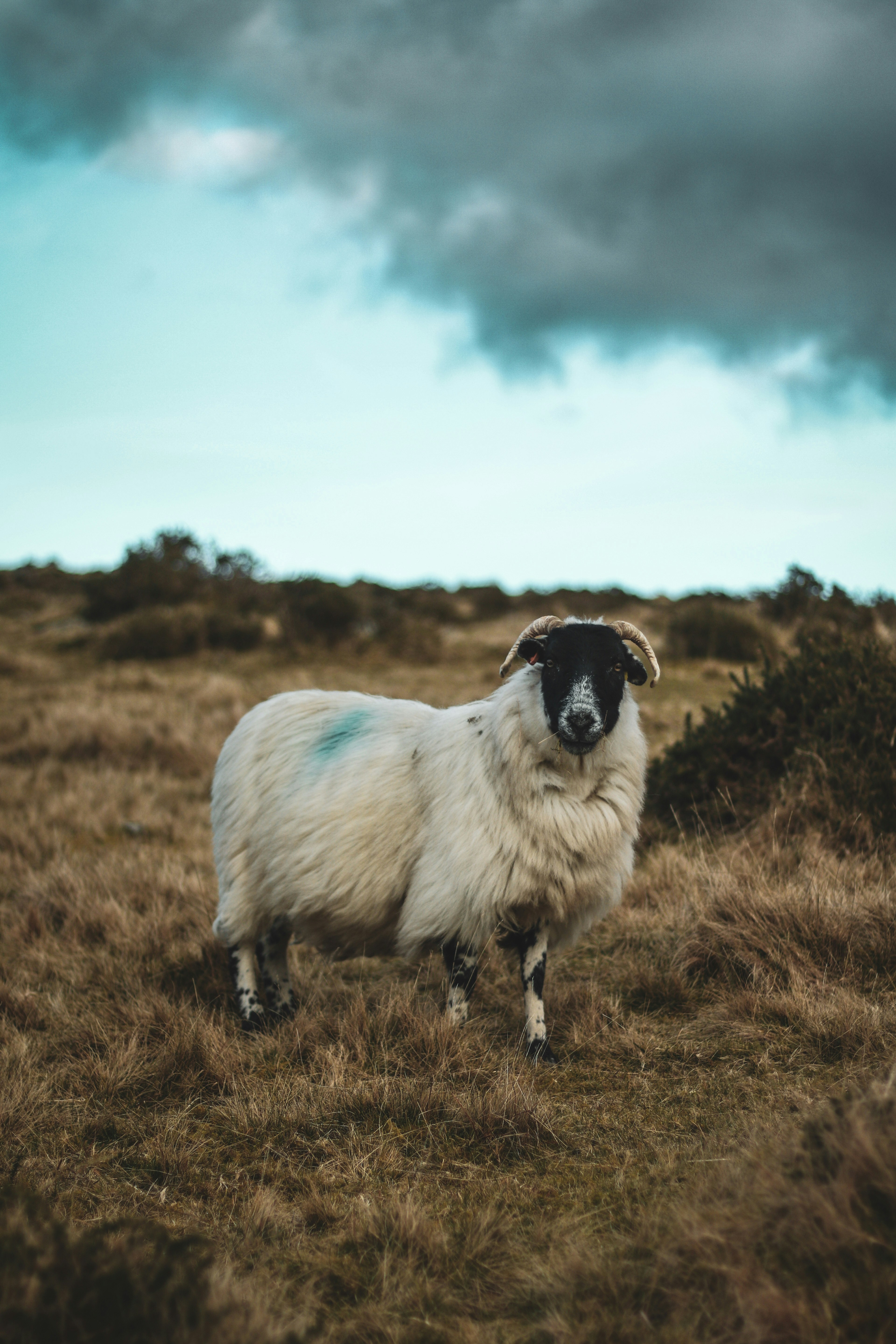 Photo by focalinsight