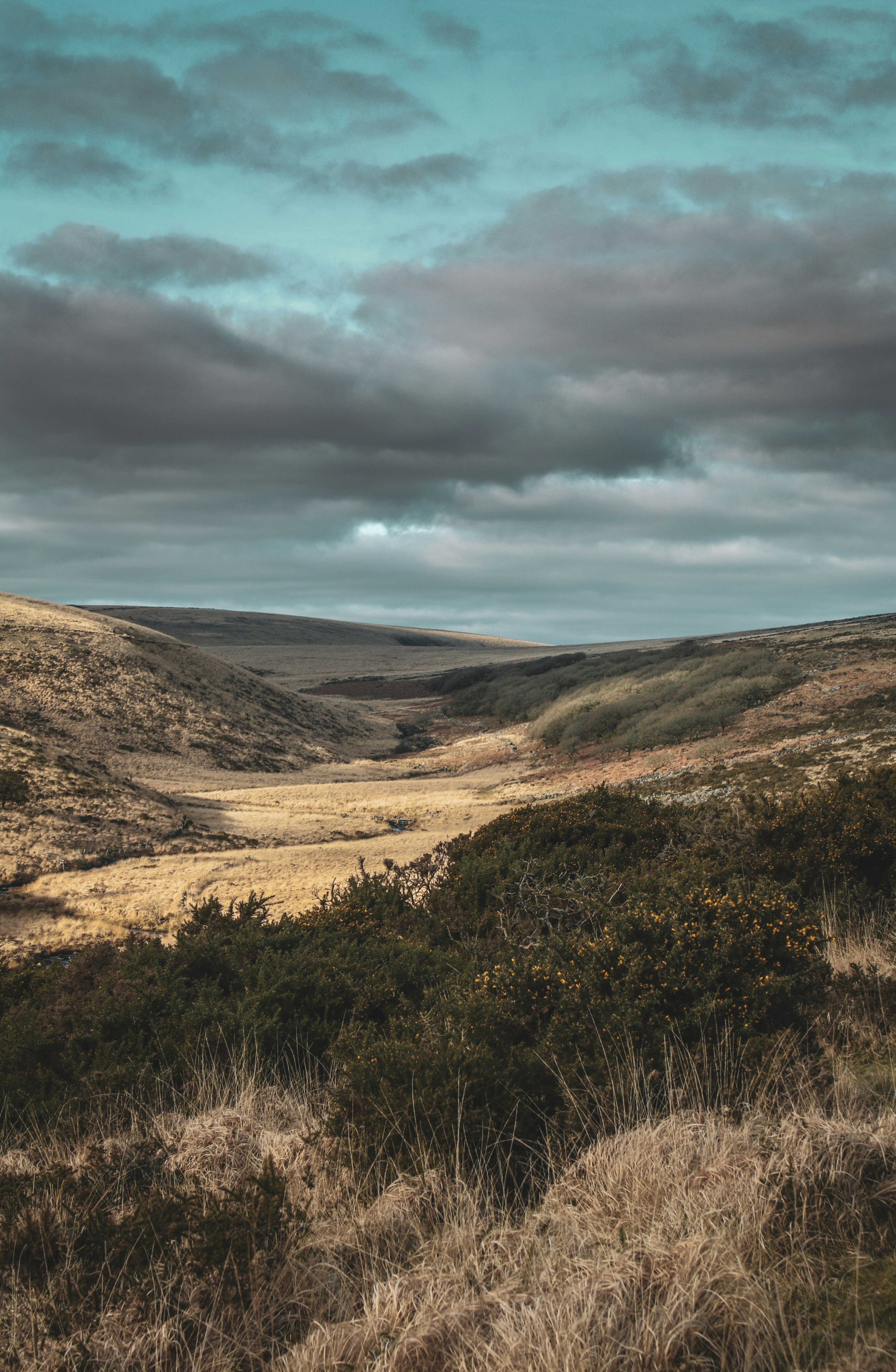 Photo by focalinsight