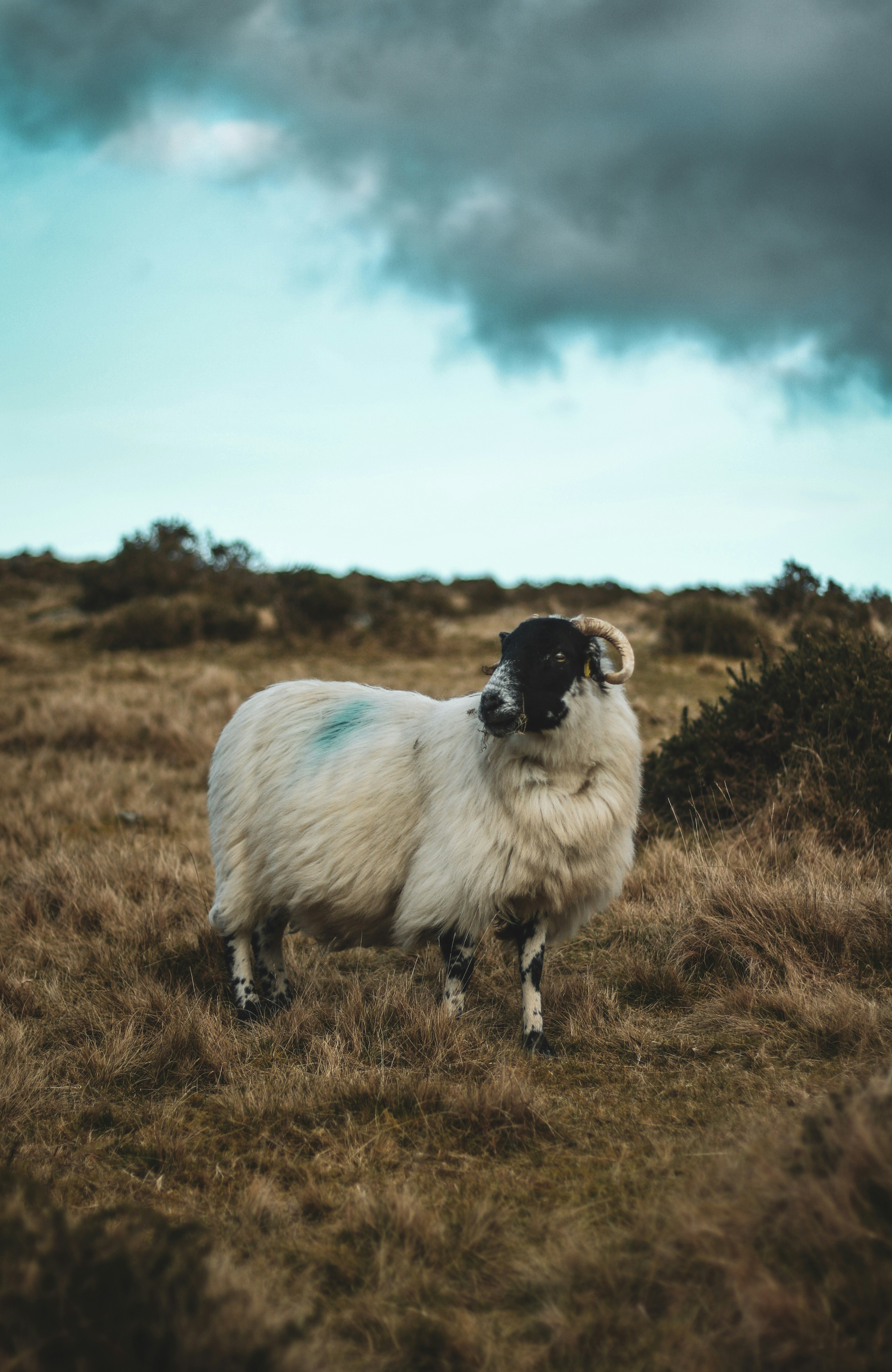 Photo by focalinsight