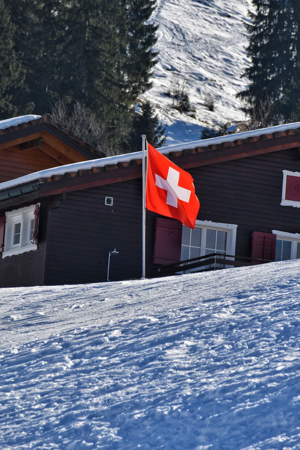 a red and white flag on a pole in the snow