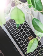 Close-up of hands typing on a laptop keyboard surrounded by natural elements like leaves and wood.