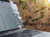 A laptop with a visible MacBook logo is placed on a surface, showing a Kanban-style project management tool on its screen, with natural light reflecting off the screen. In the background, there is a leafy plant with green and some brown leaves, illuminated by sunlight from the right side.