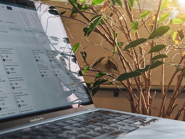 A laptop with a visible MacBook logo is placed on a surface, showing a Kanban-style project management tool on its screen, with natural light reflecting off the screen. In the background, there is a leafy plant with green and some brown leaves, illuminated by sunlight from the right side.
