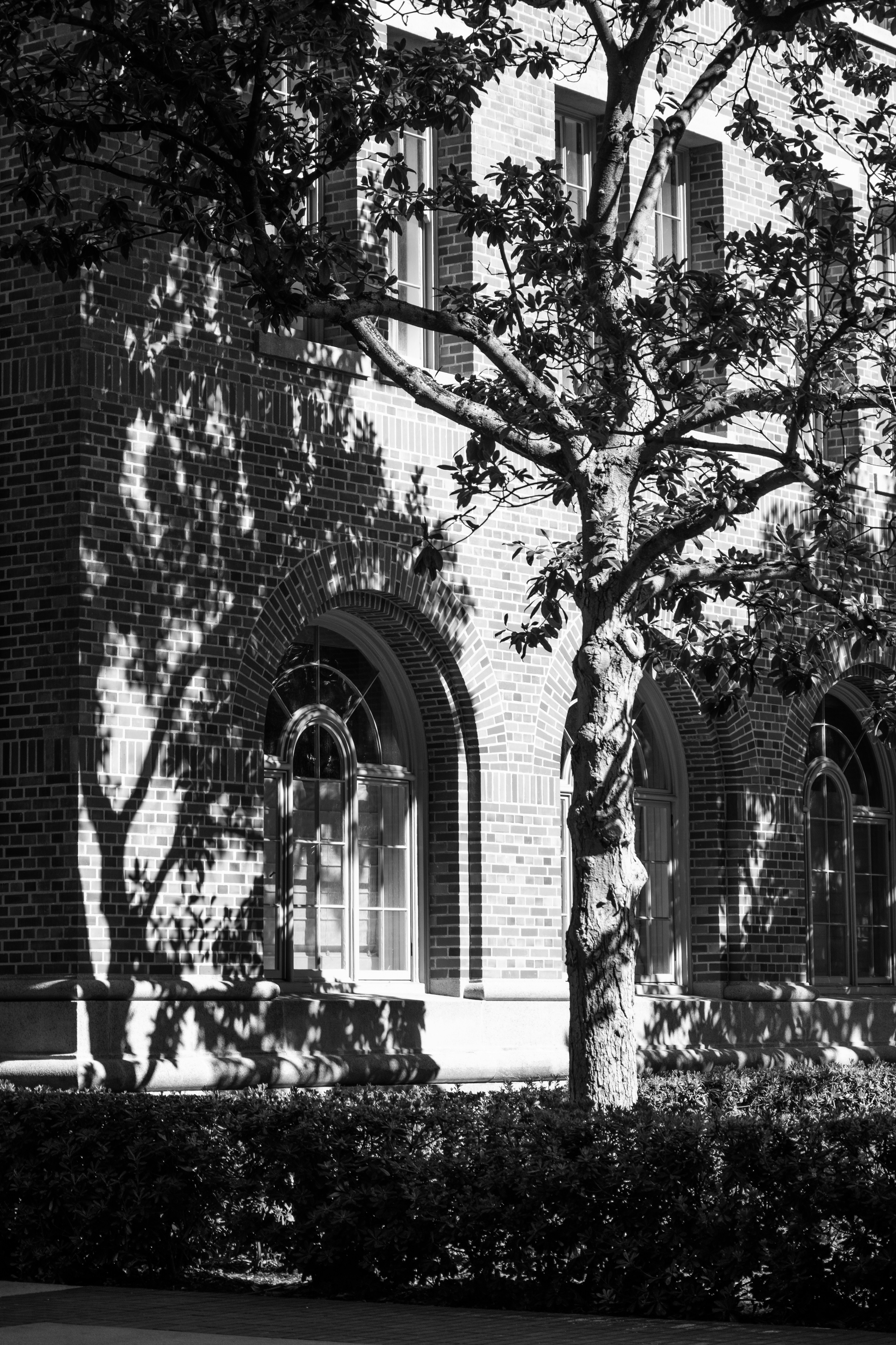 Photo by geoffreykang_21