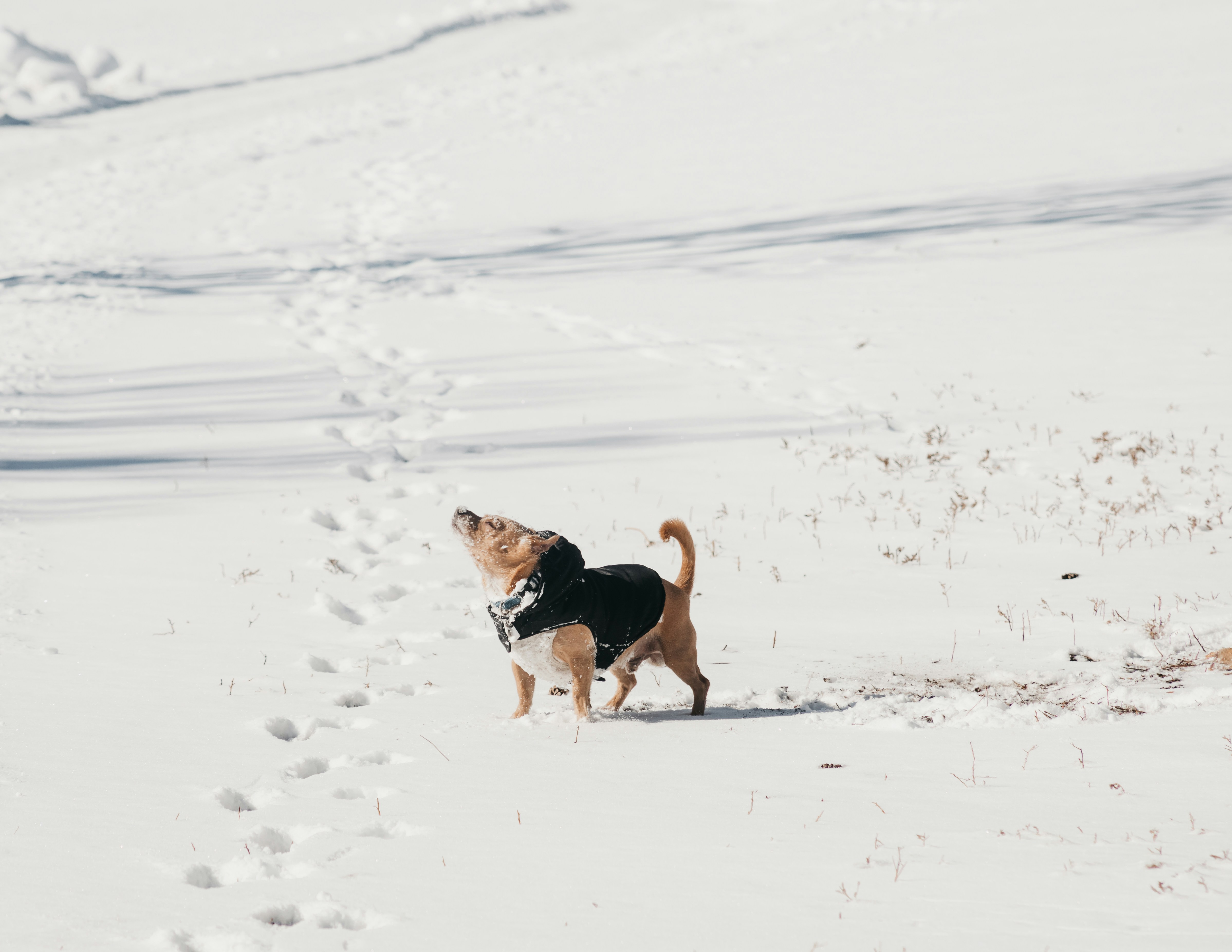 Photo by photosoflogan