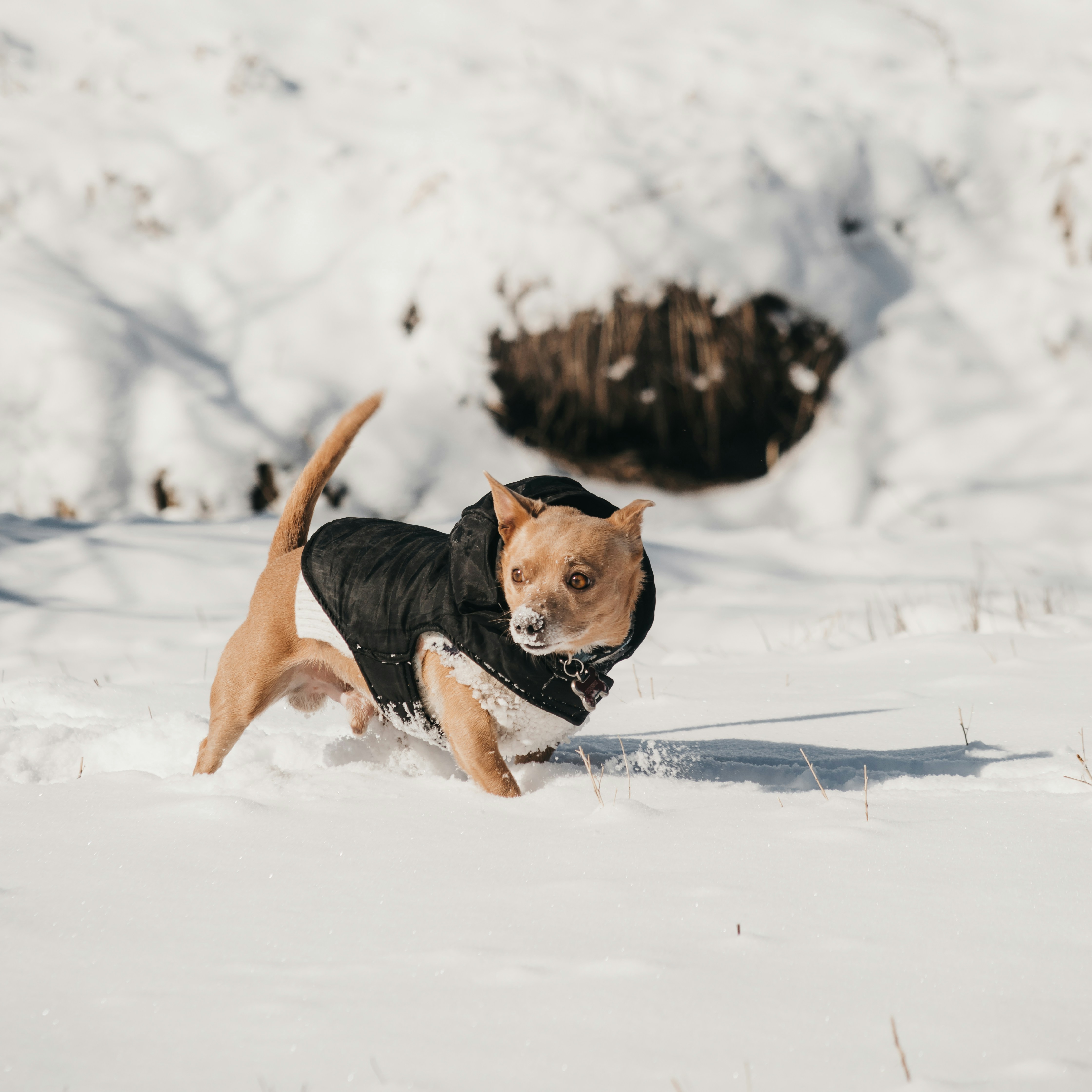 Photo by photosoflogan